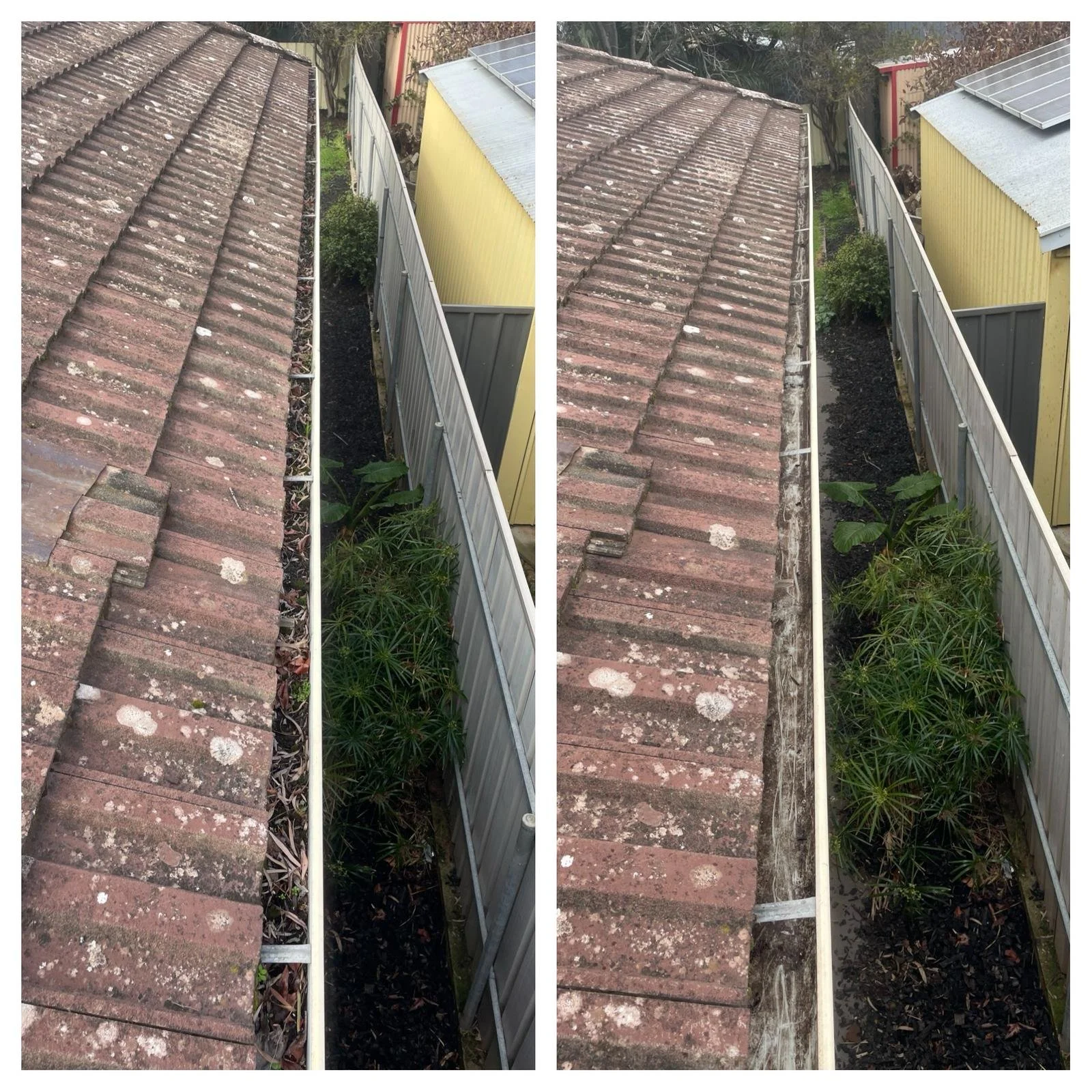 2195204a-9cff-4414-b536-e3c595d708ed.jfif