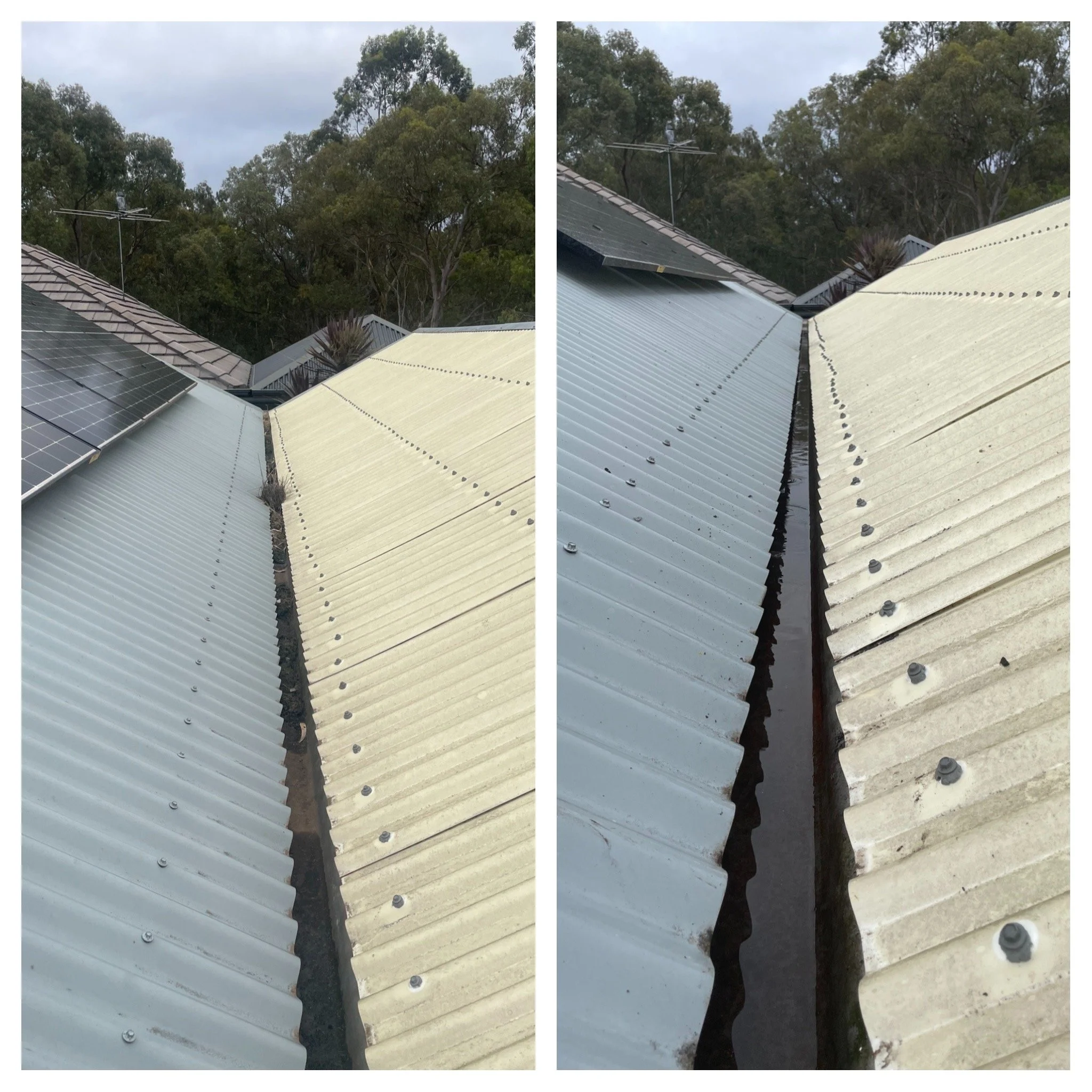 Gutter Cleaning Adelaide