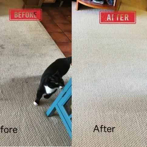 house cleaning Adelaide