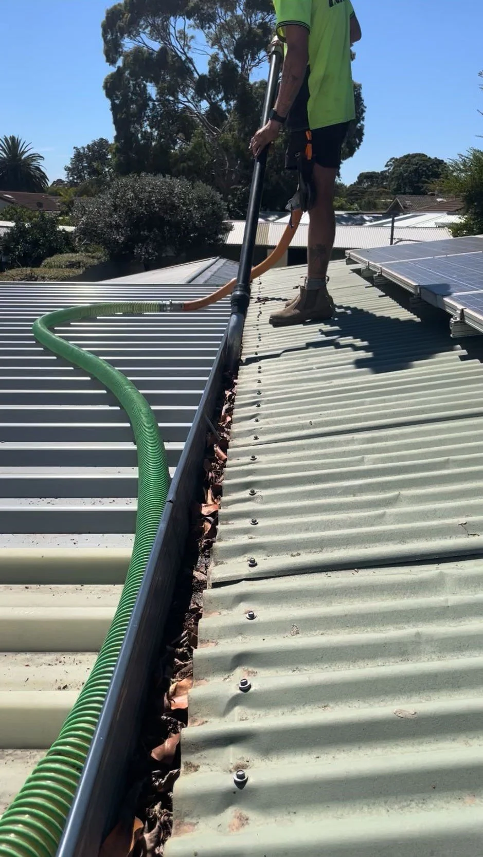 2be2f4d2-e82f-43bf-a515-0c179d0032ff.jfif