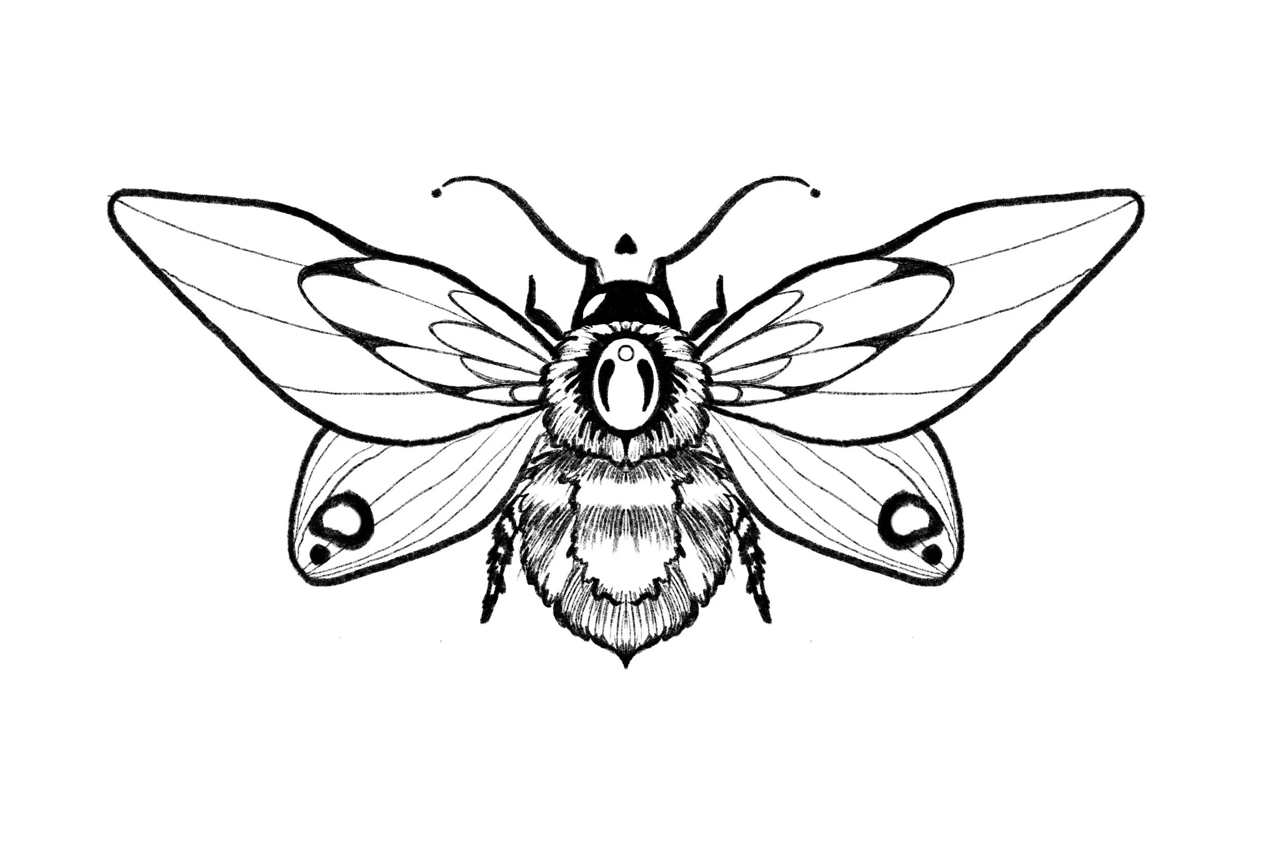 Photo 7-3-2023, 1 20 26 pm.jpg