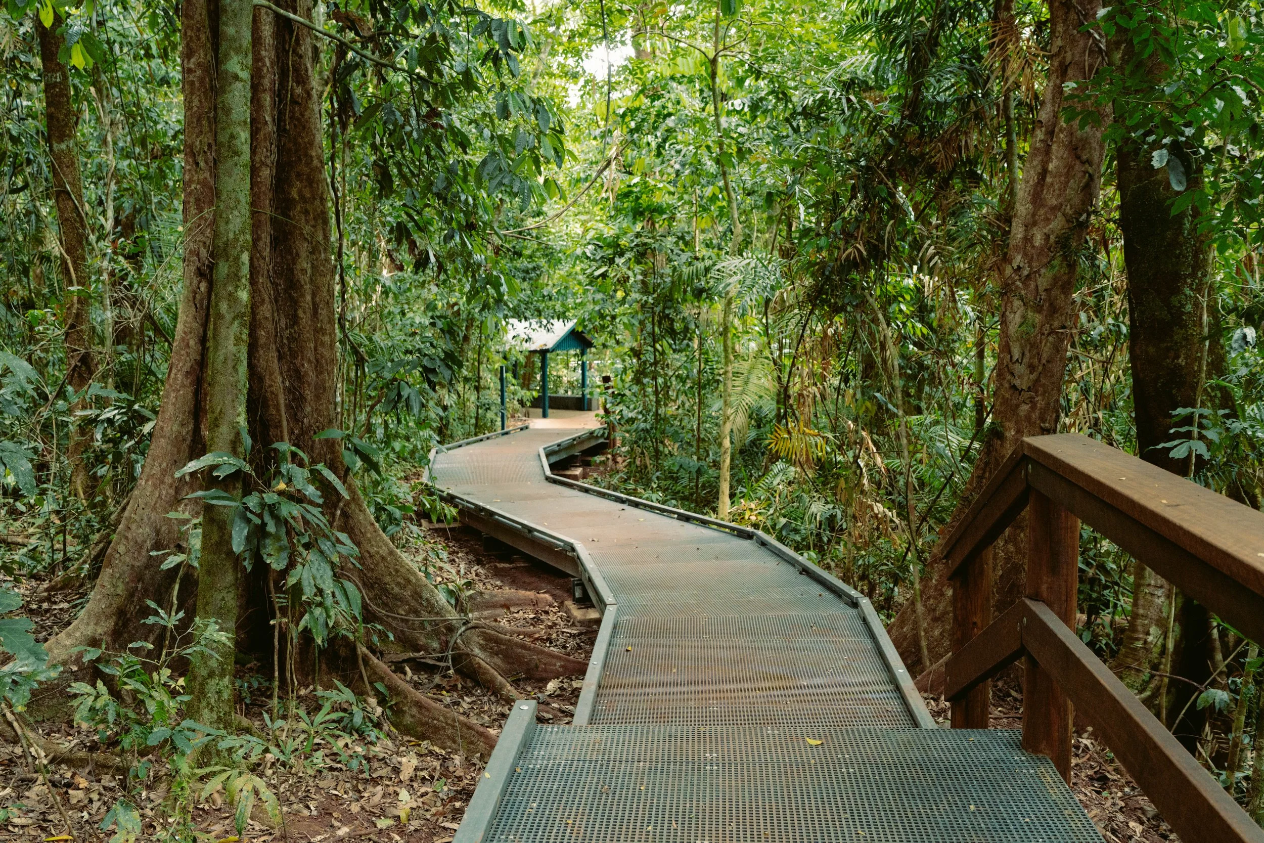 QLD Parks x Jindalba 25-118.jpg