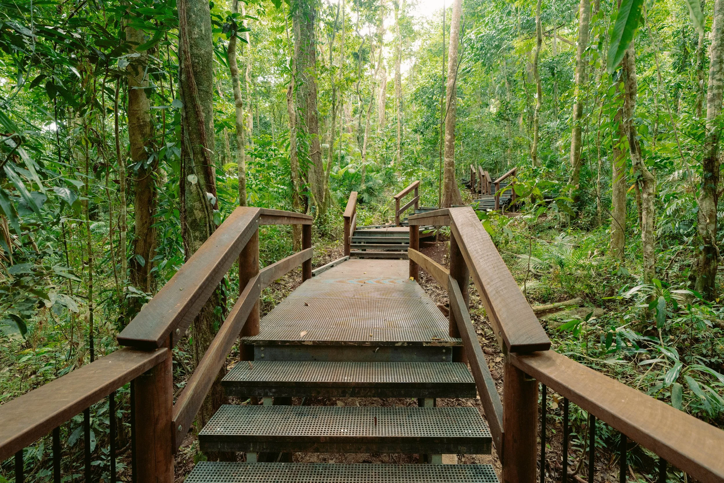 QLD Parks x Jindalba 25-65.jpg