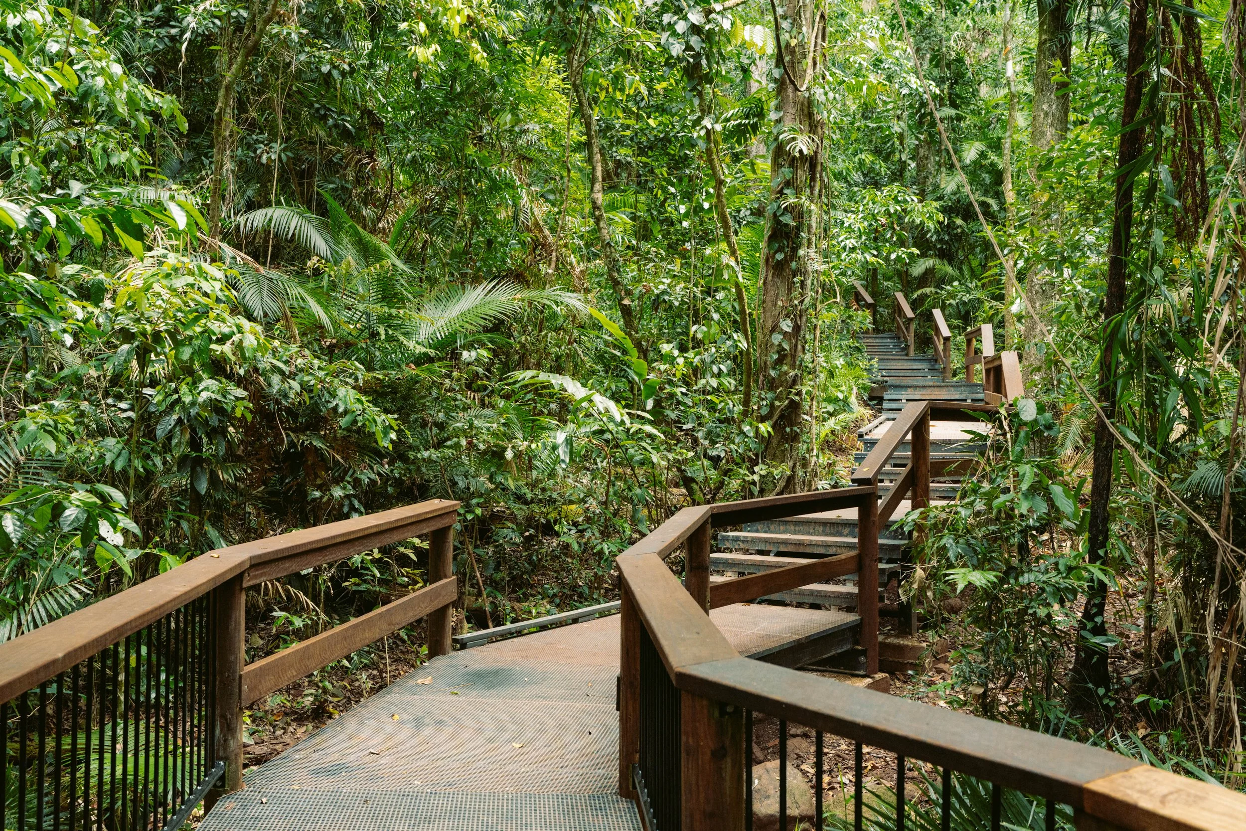 QLD Parks x Jindalba 25-116.jpg