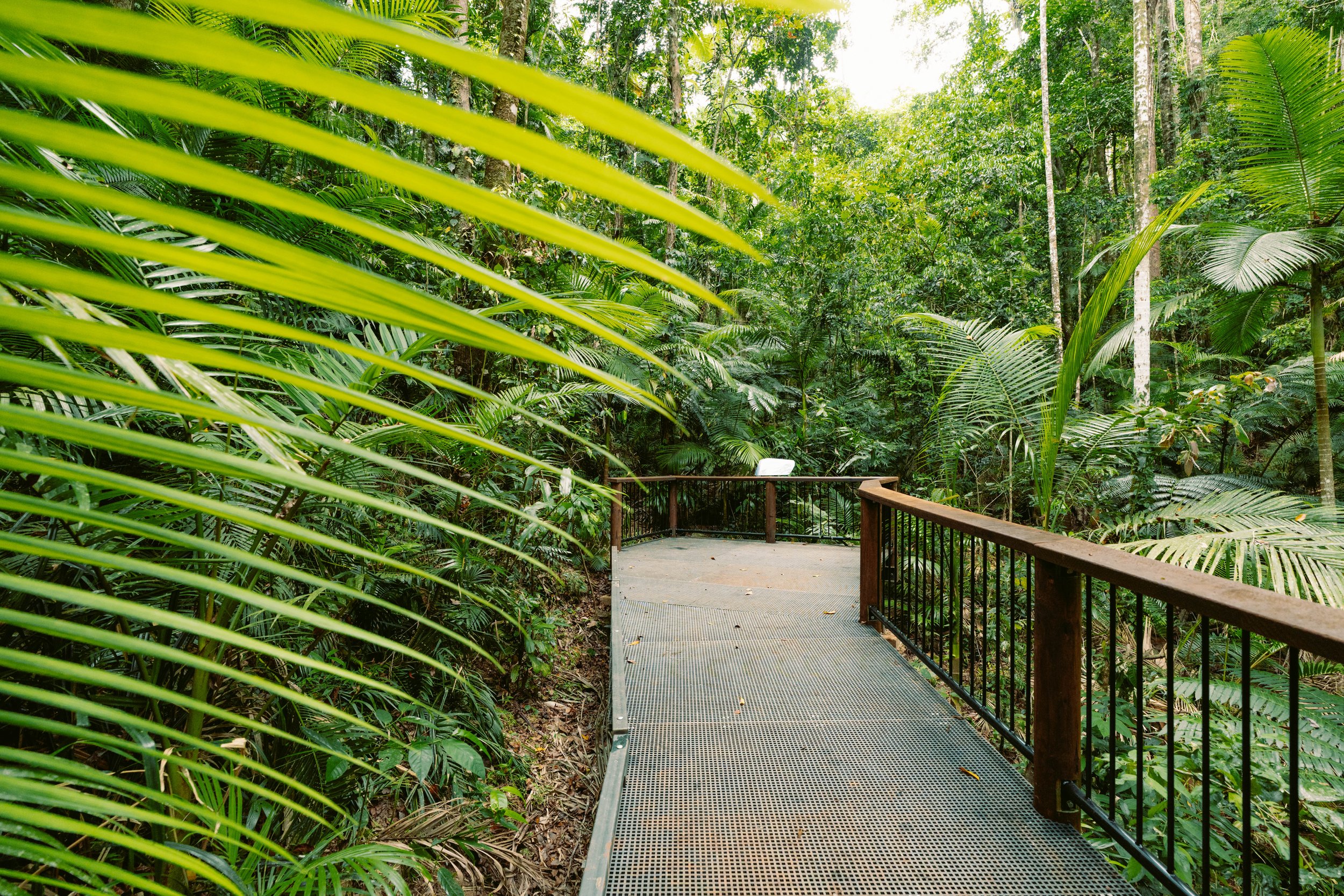 QLD Parks x Jindalba 25-96.jpg