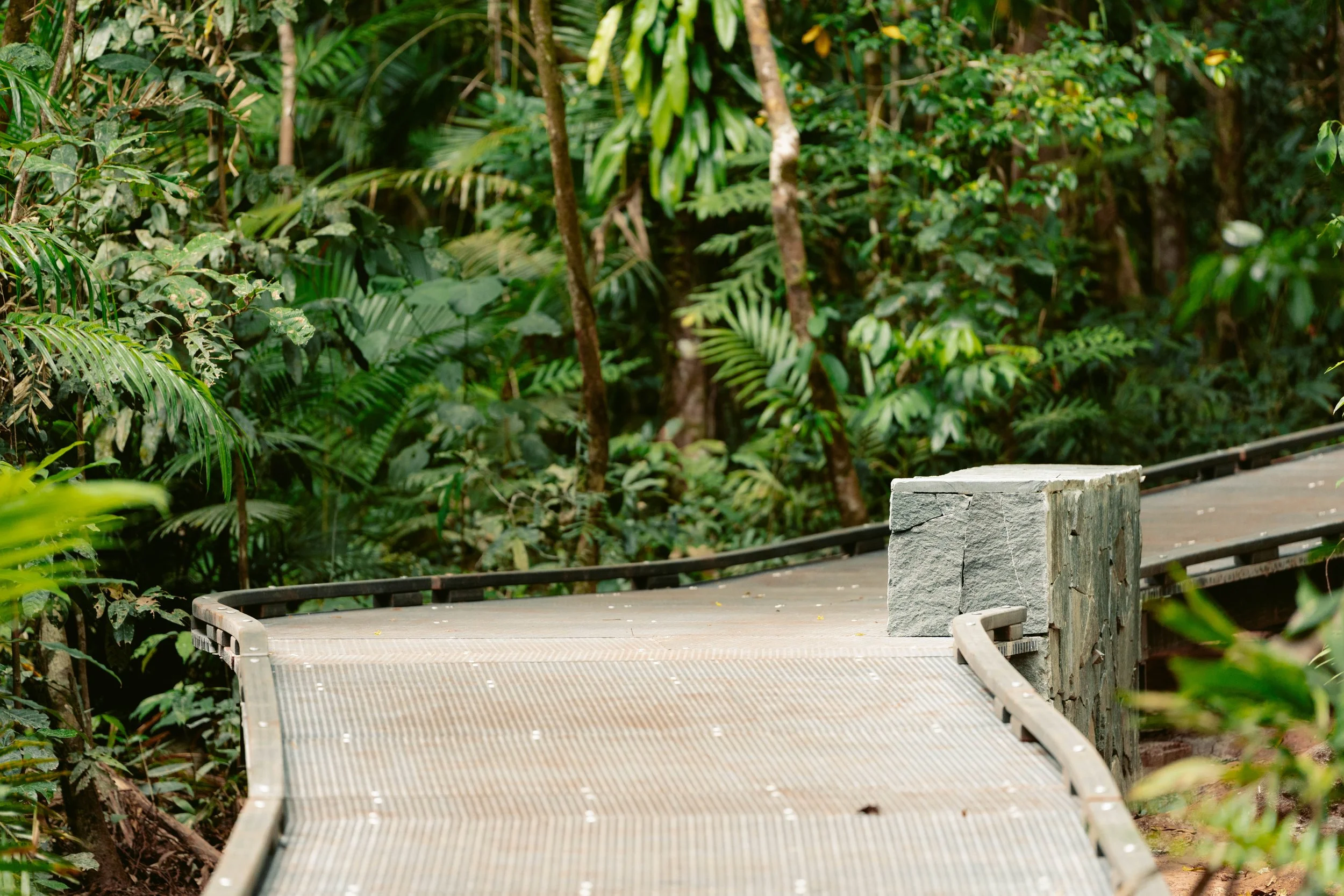 QLD Parks x Jindalba 25-35.jpg