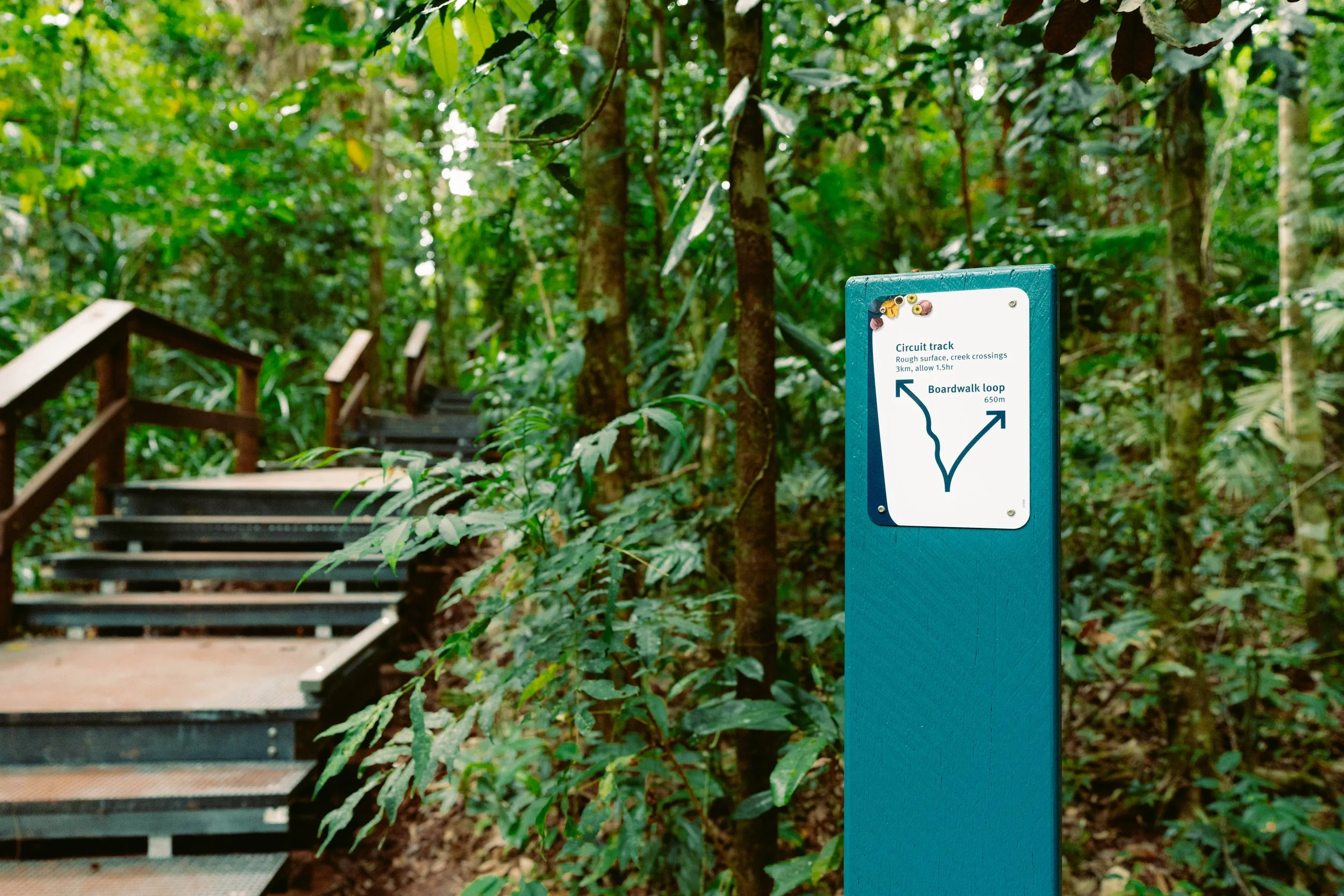 QLD Parks x Jindalba 25-75.jpg