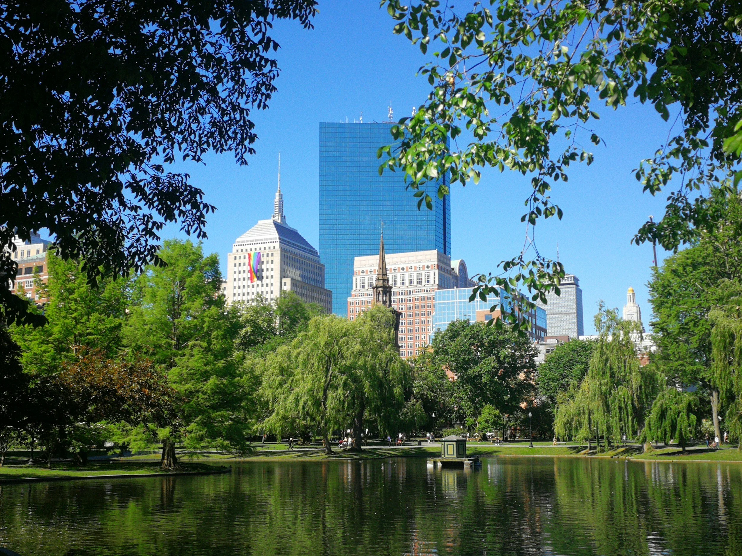 View of a city skyline with tall buildings and skyscrapers behind a park with green trees and a small body of water in the foreground under a clear blue sky.