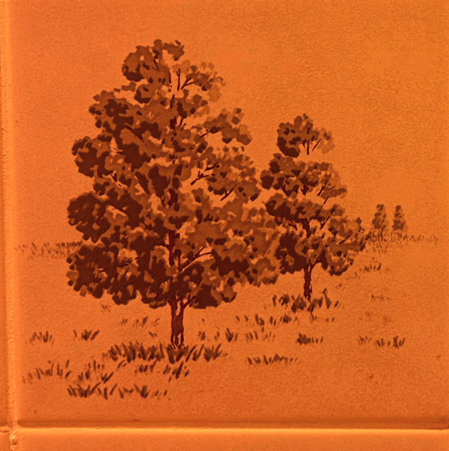 SILKY OAK - FOREVER AND A DAY