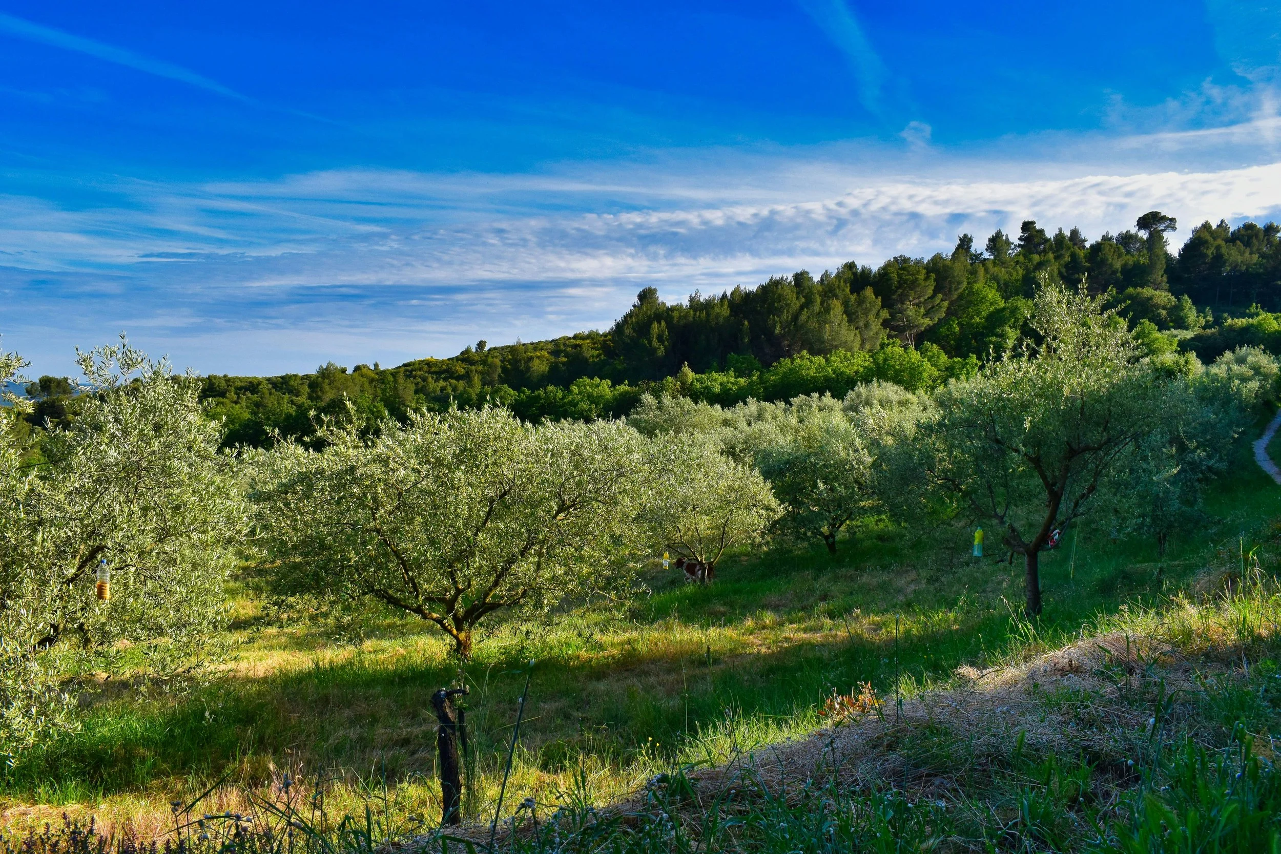 Luberon à vélo