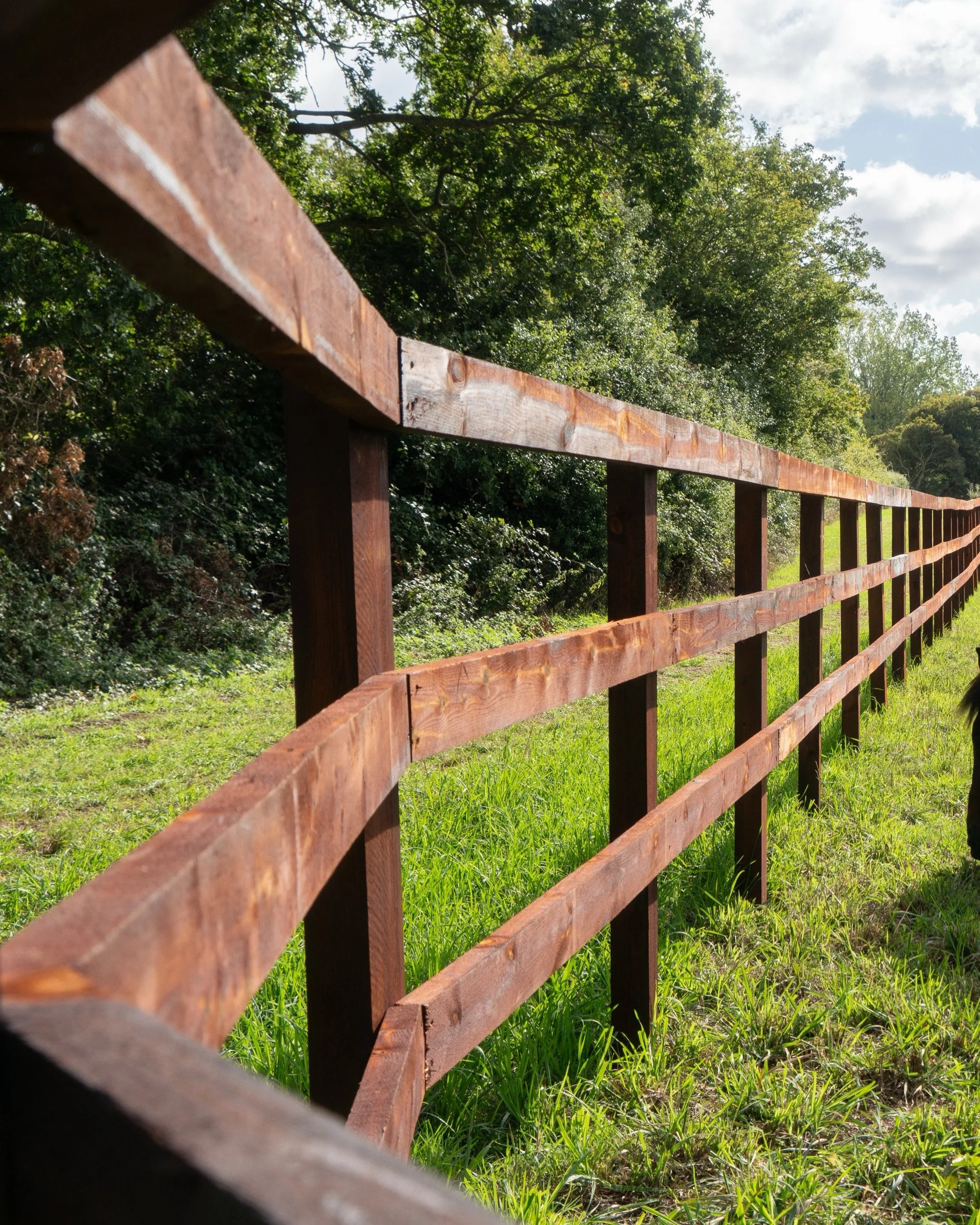 Another fencing job completed over in East Suffolk

Really pleased with how this one has turned out, everything looking sharp, tidy and built to last. 

Always satisfying seeing a job come together like this!

#fencing #farm #farming #horses #equestr
