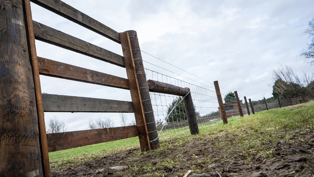 Post and rail fencing