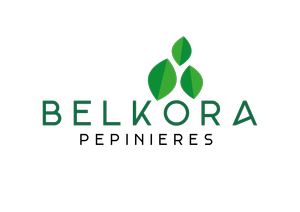 Pepiniere Belkora