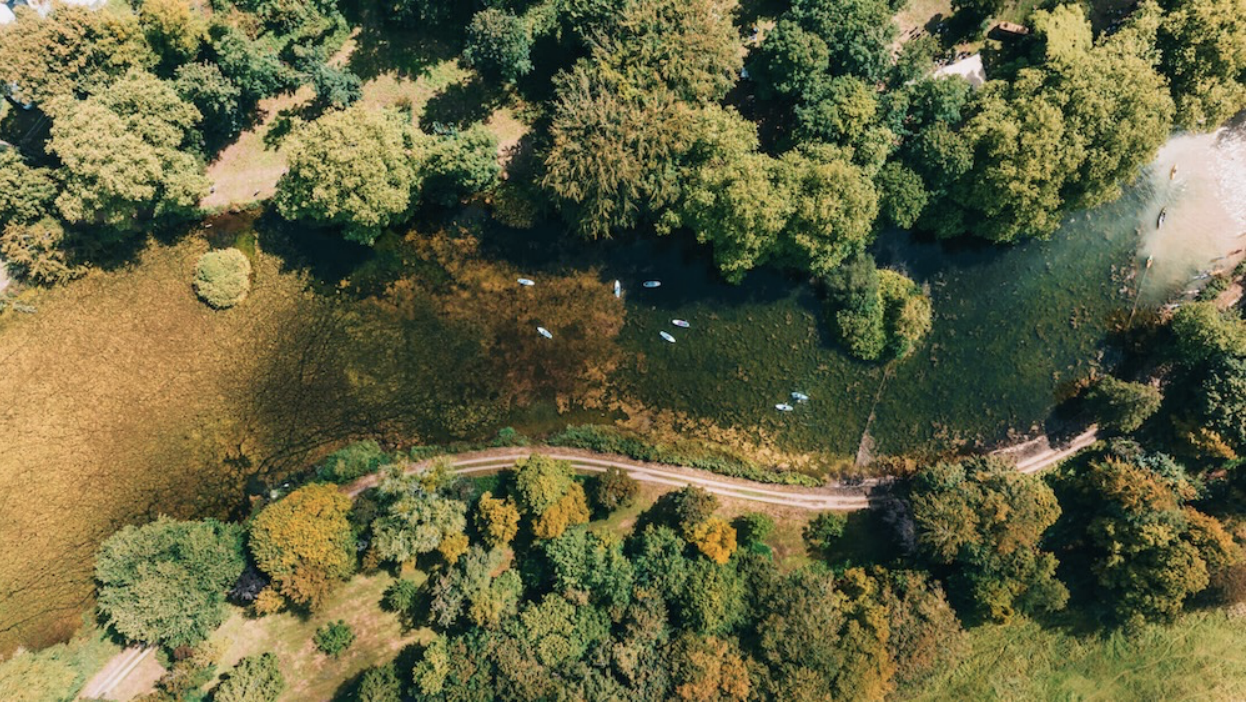 Qobuz returns to We Out Here festival 2026 with artist-led Hi-Fi Listening Sessions and dedicated listening pod