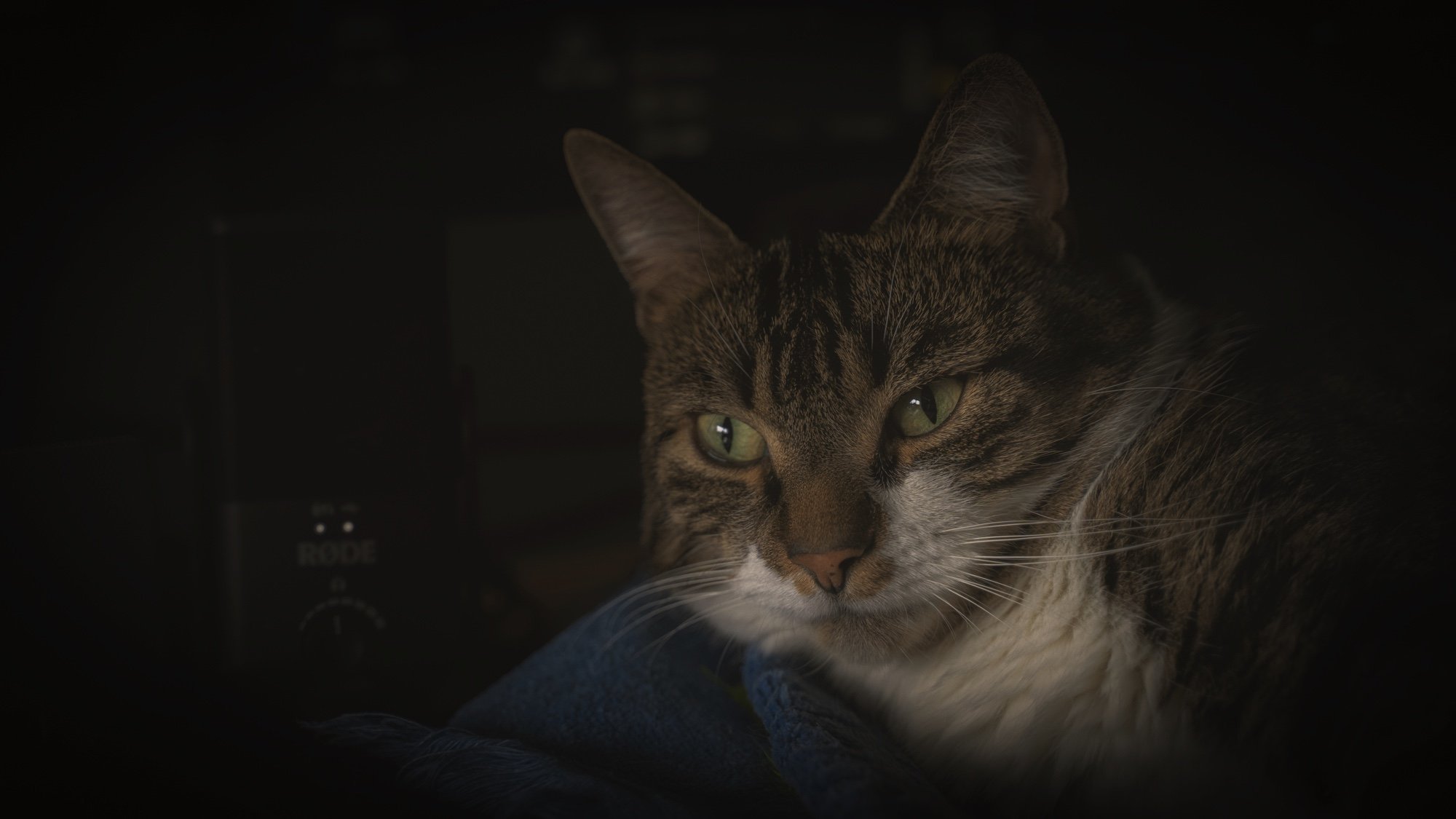 Neenno waking up