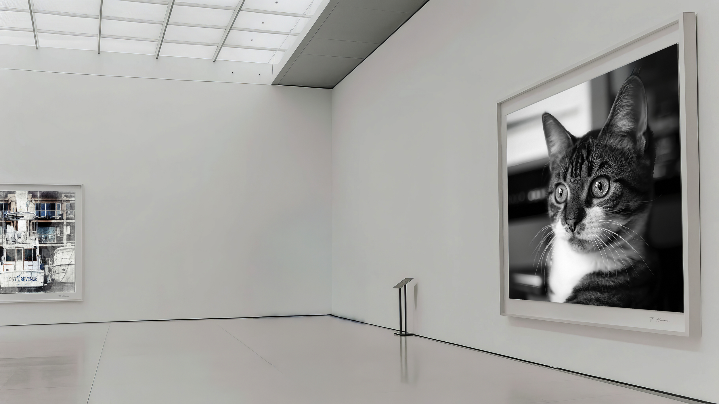 m2025 jon hermannsson art gallery ake-a-modern-picture-gallery-with-two-extra-extra-7us-face-upscale-2.png