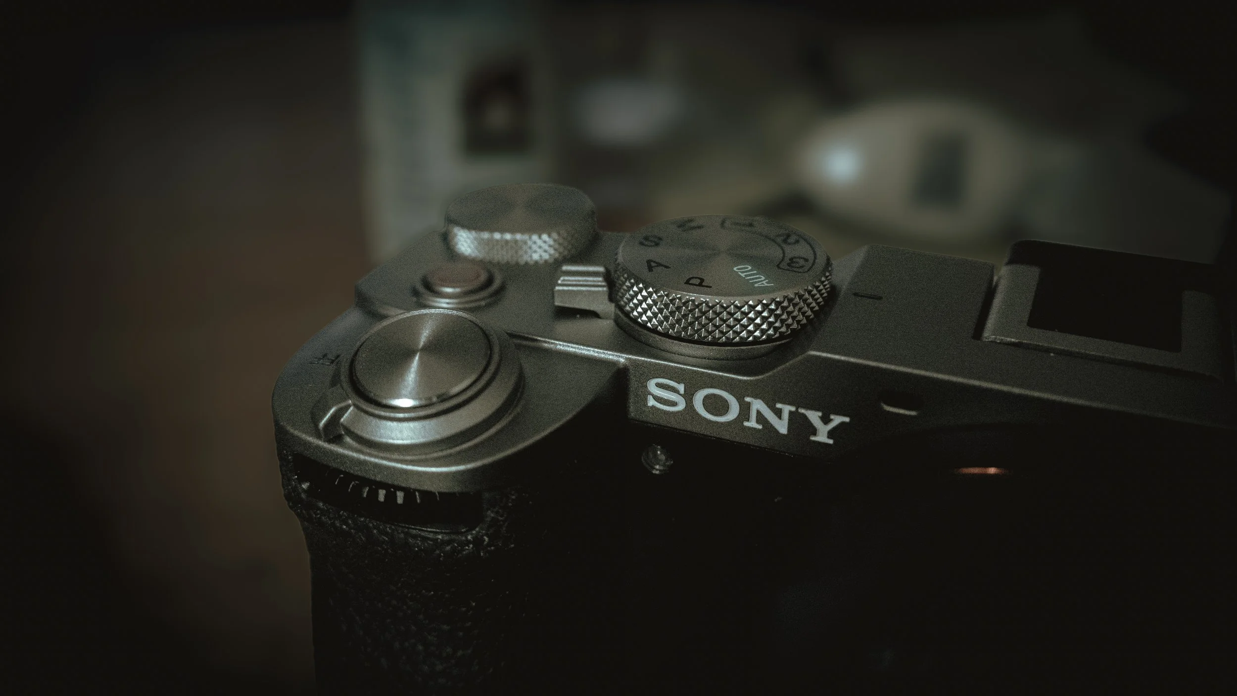 P1030292-2.jpg