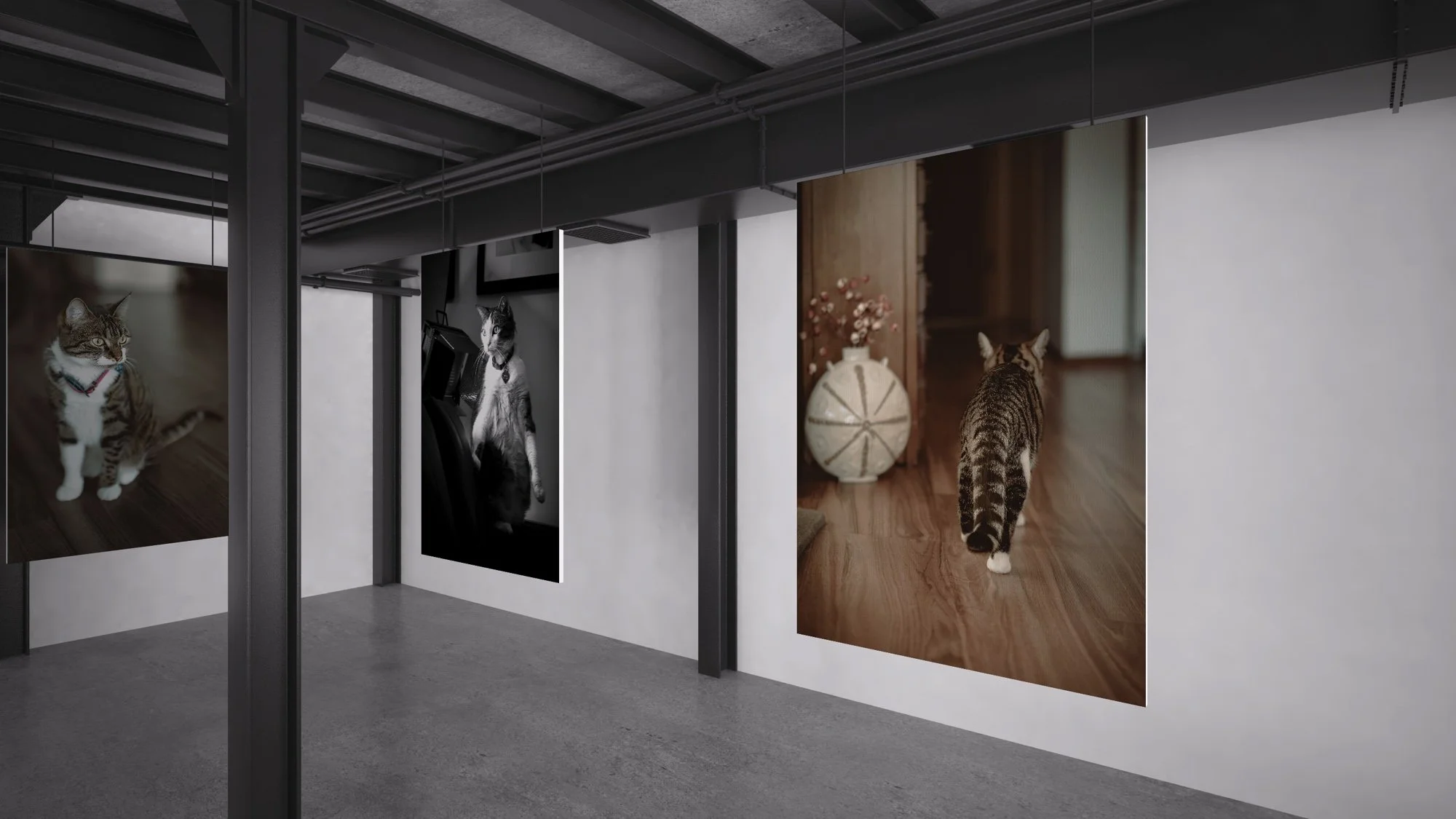 2025 gallery neeenoemail 2.jpg