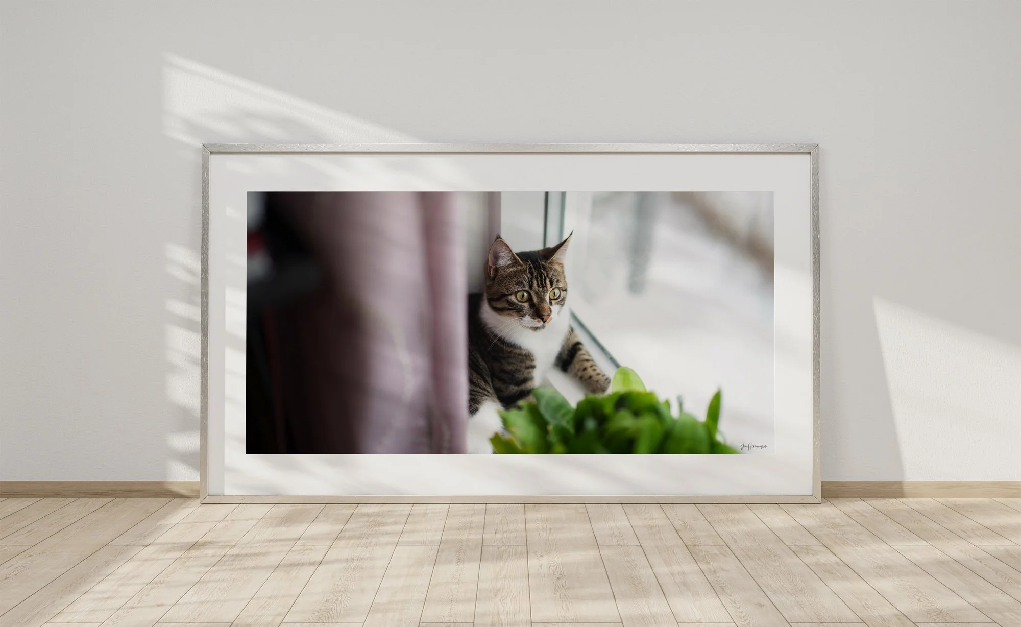 2024 jih neeno in window.jpg