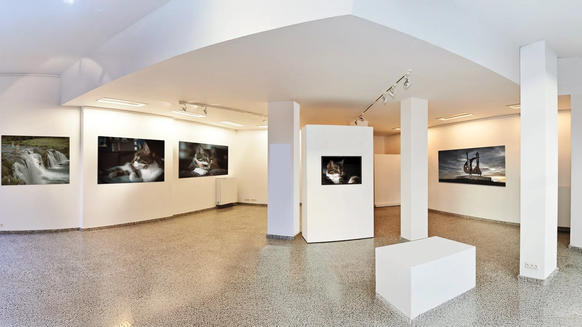 2025 jih GalleryPanoemail.jpg