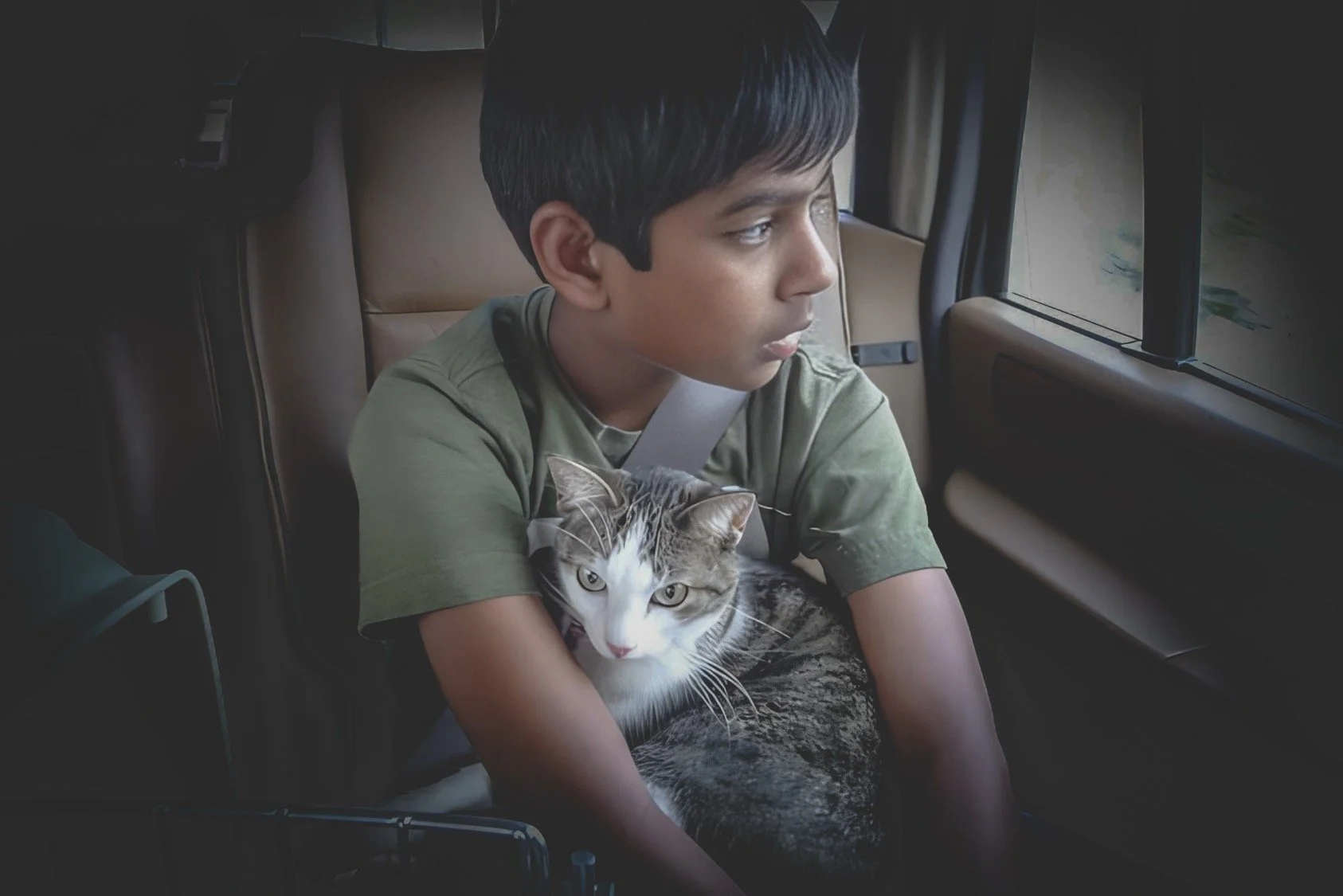 A young boy sitting in a vehicle with a striped cat on his lap, looking out the window.