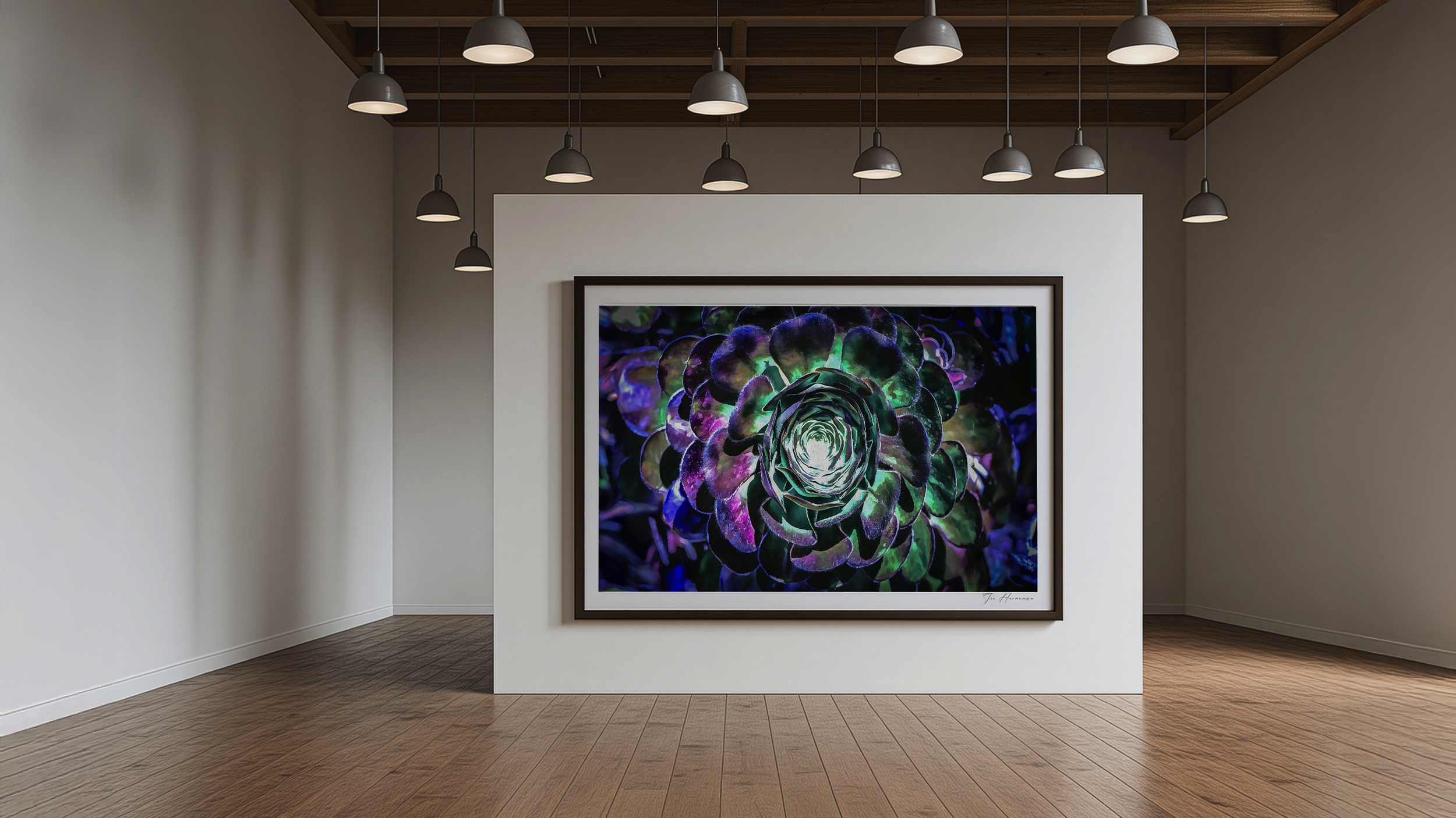 2025 jon hermannsson art imageemail.png