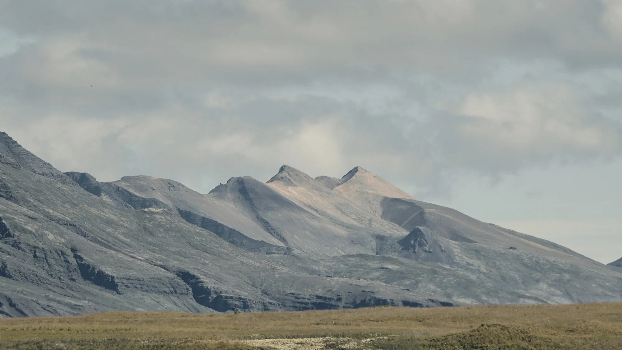 _A7R8215.jpg