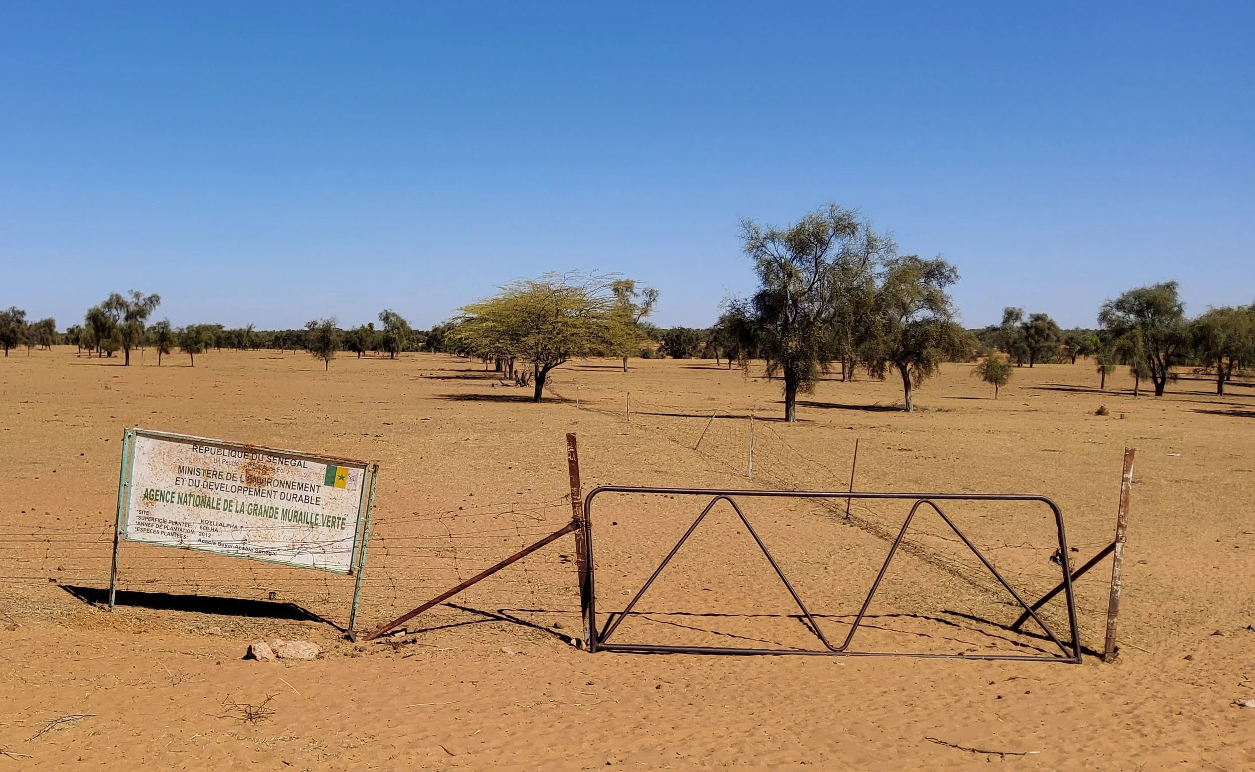 The Great Green Wall: political ecology of a phantom project