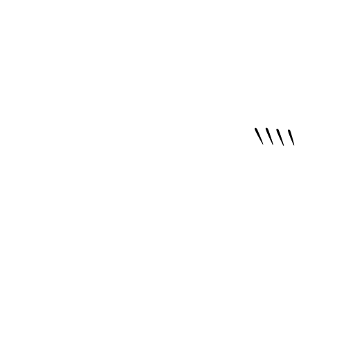 Car Transport NZ