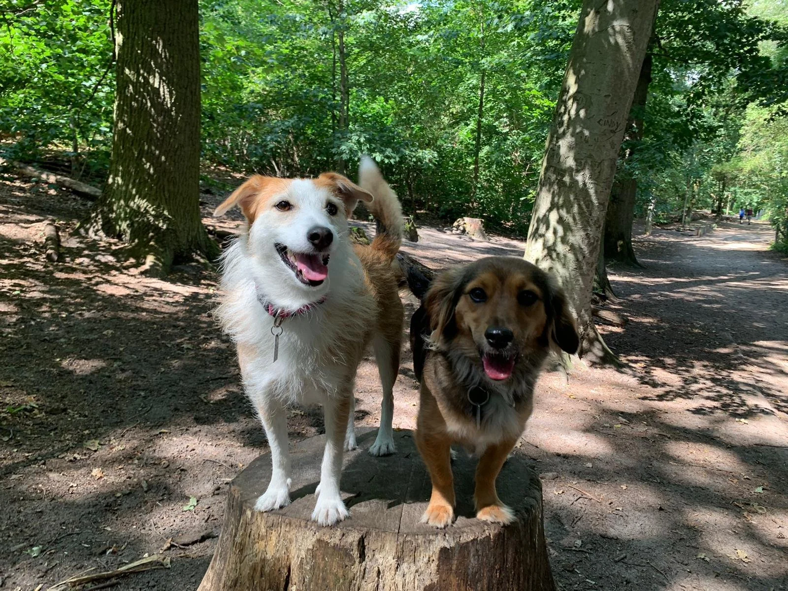 rey and wilma grunewald.JPG