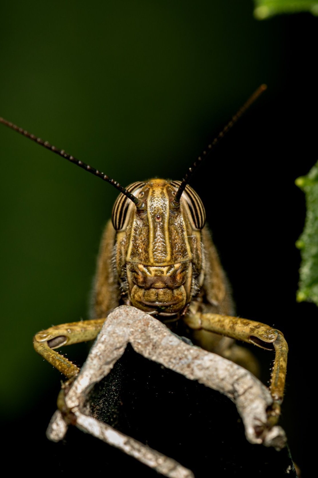5P3A3903+%282%29.jpg