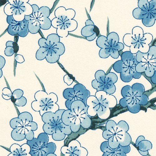 F - prunier bleu.jpg