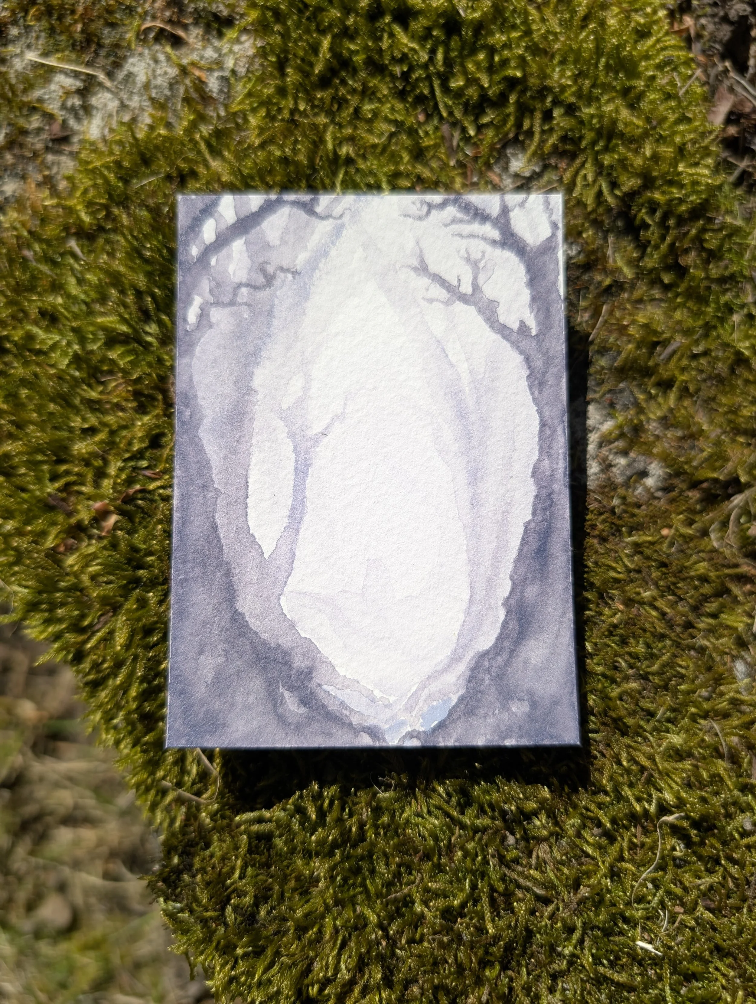 PXL_20260425_141302440.jpg