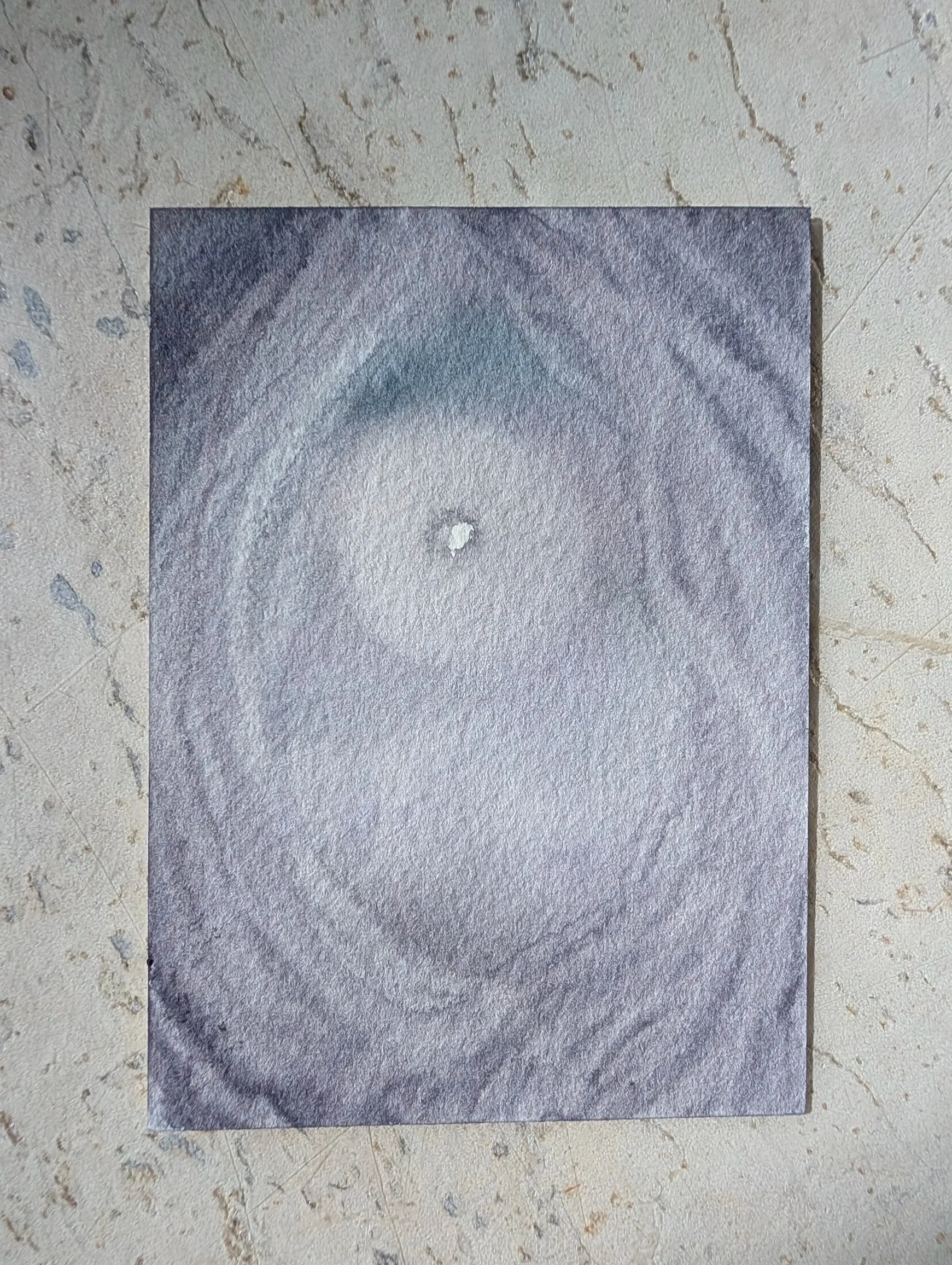 PXL_20260429_085514657.jpg