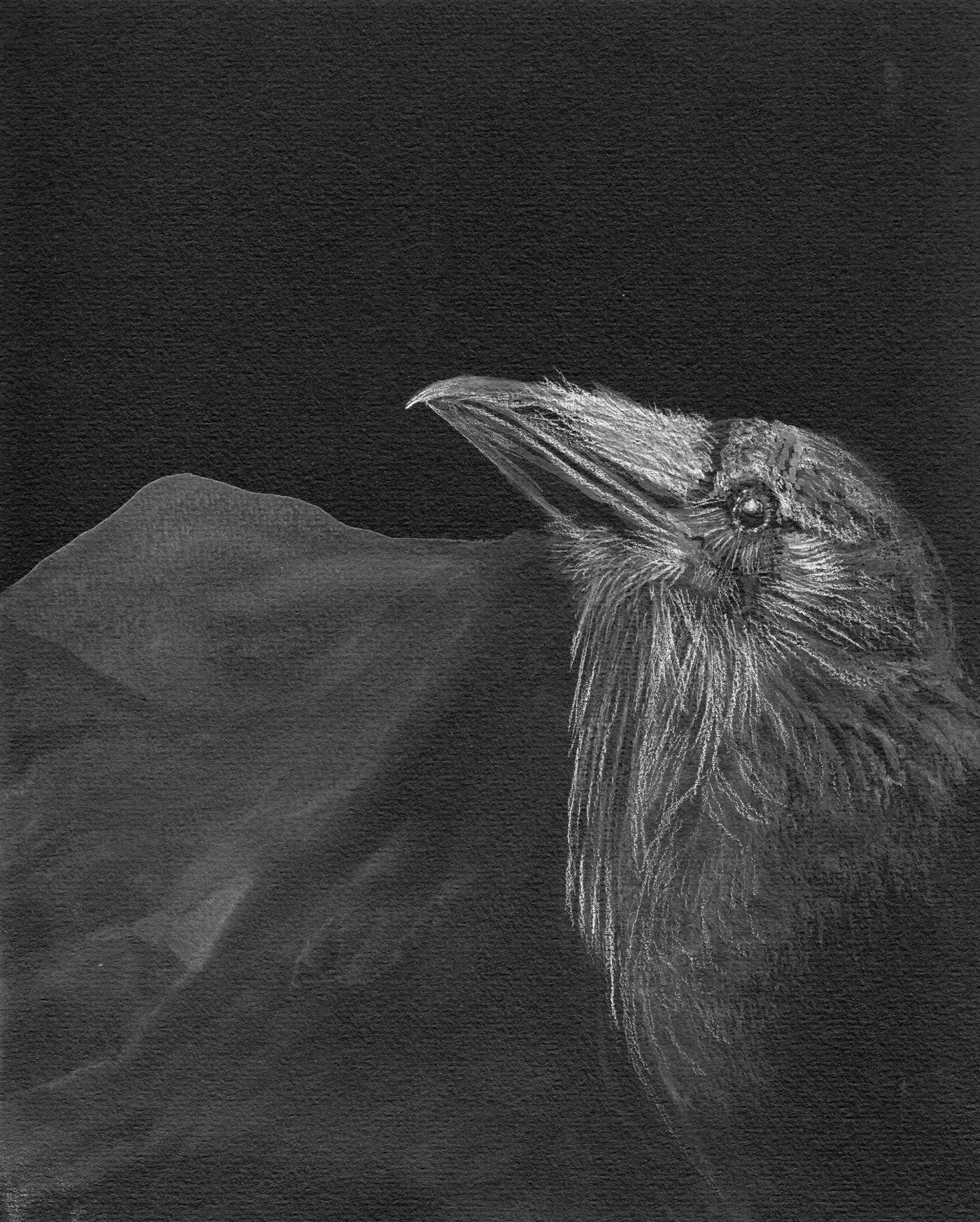 WINTER RAVEN.jpg