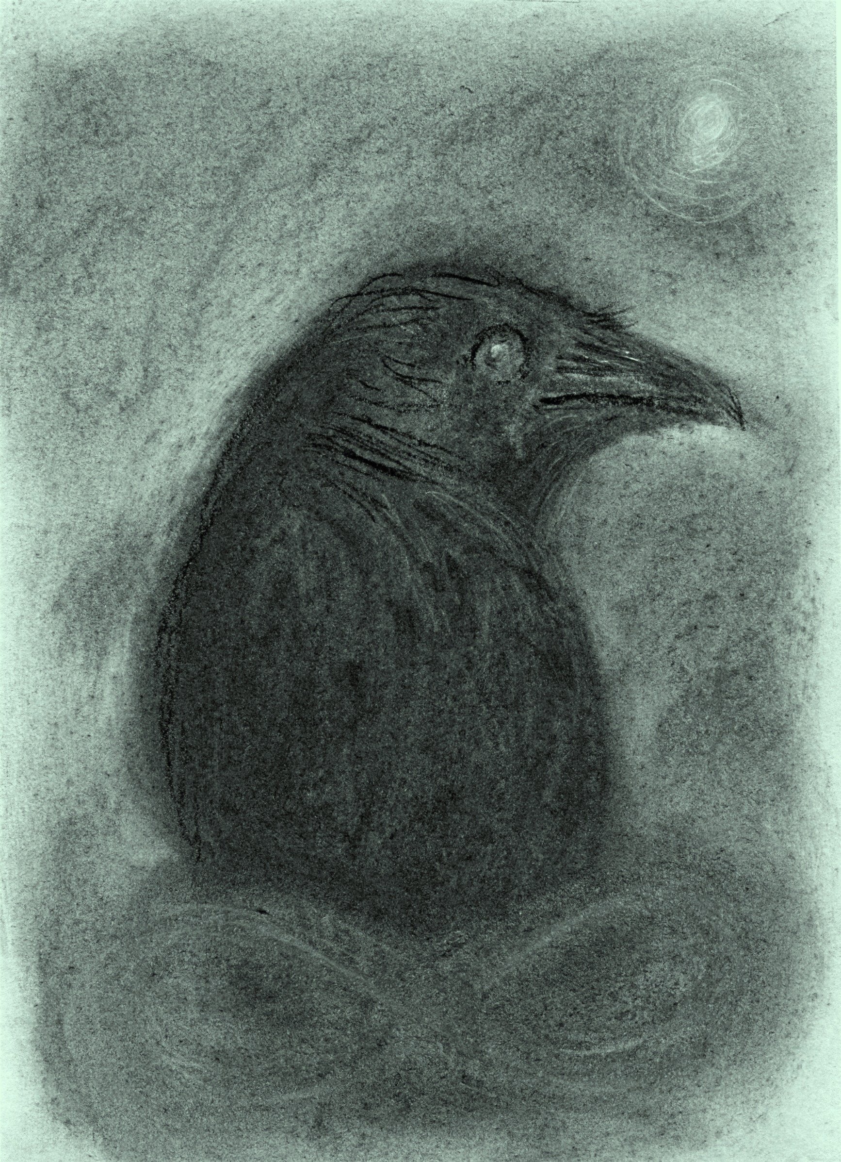 POEDARK-edit-20260402152316.jpg