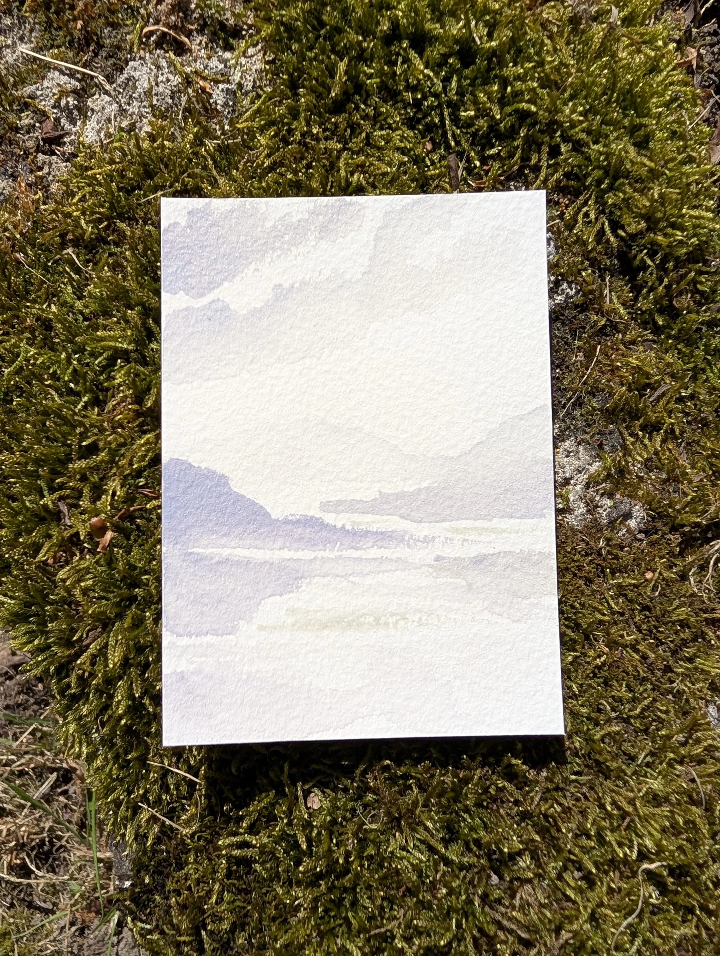 PXL_20260425_141341233.jpg