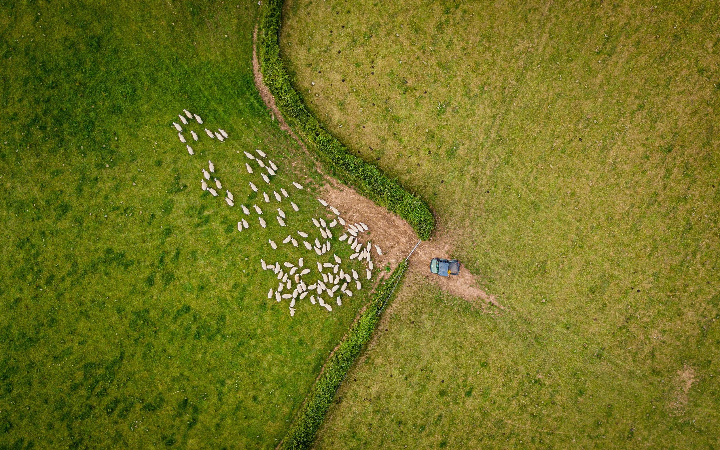 10 August 19-06-04 ALEX.jpg