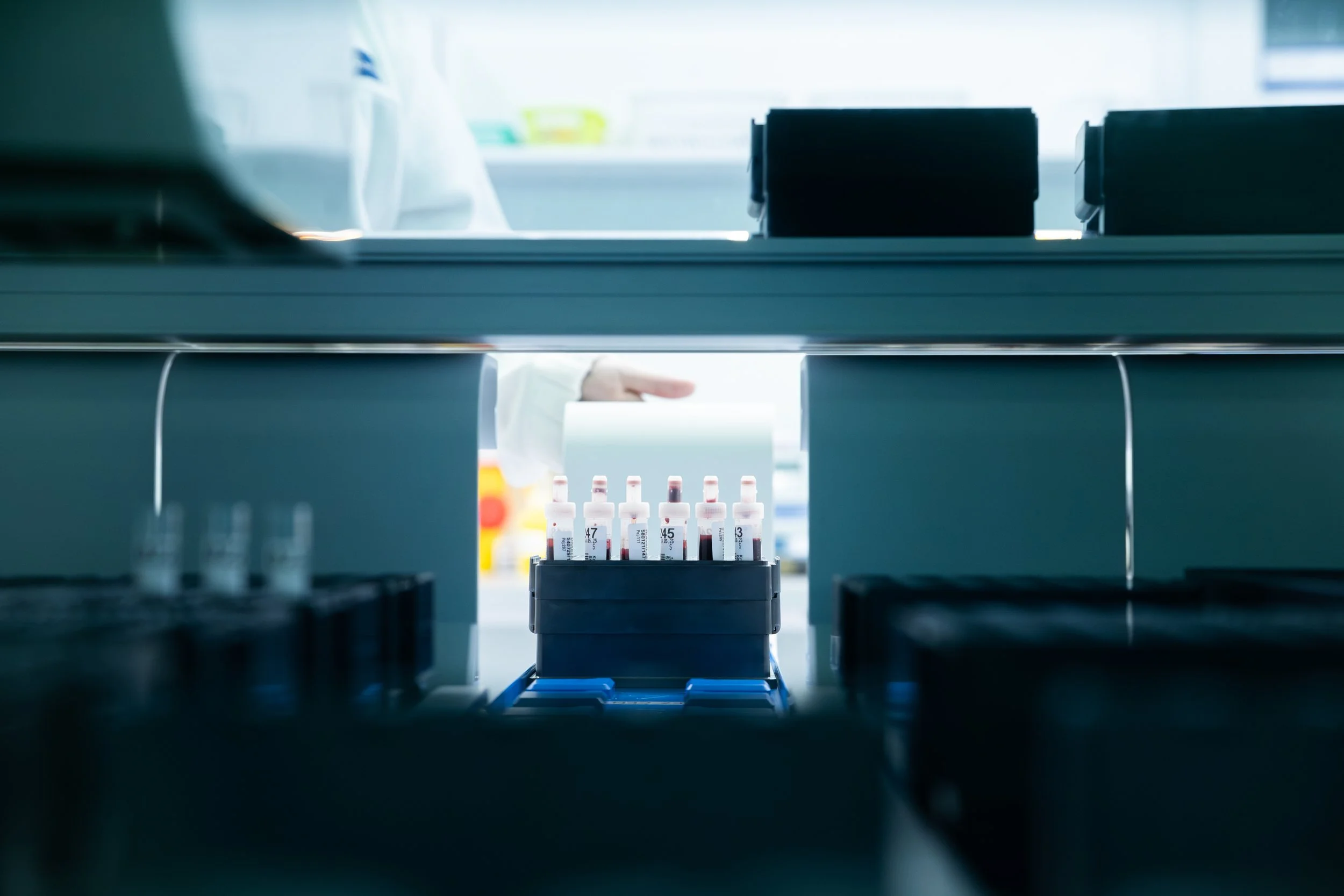 Kopie souboru IMG_7460.jpg