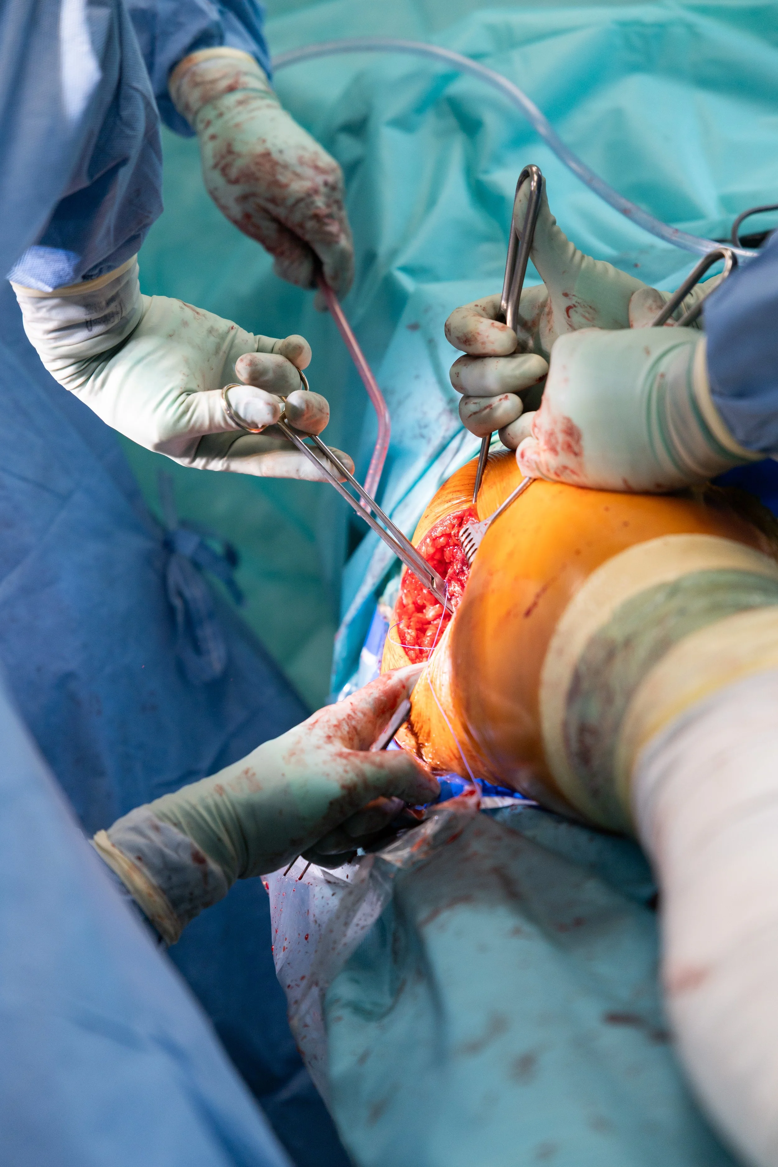 Kopie souboru 2G2A0372.jpg