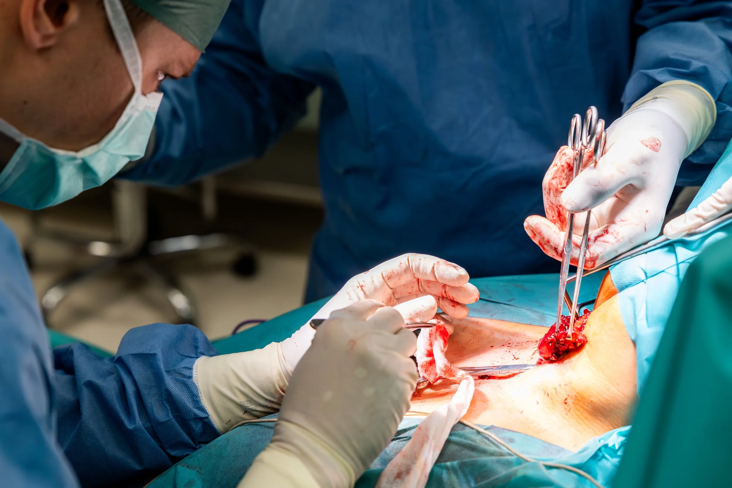 Kopie souboru 2G2A2202.jpg