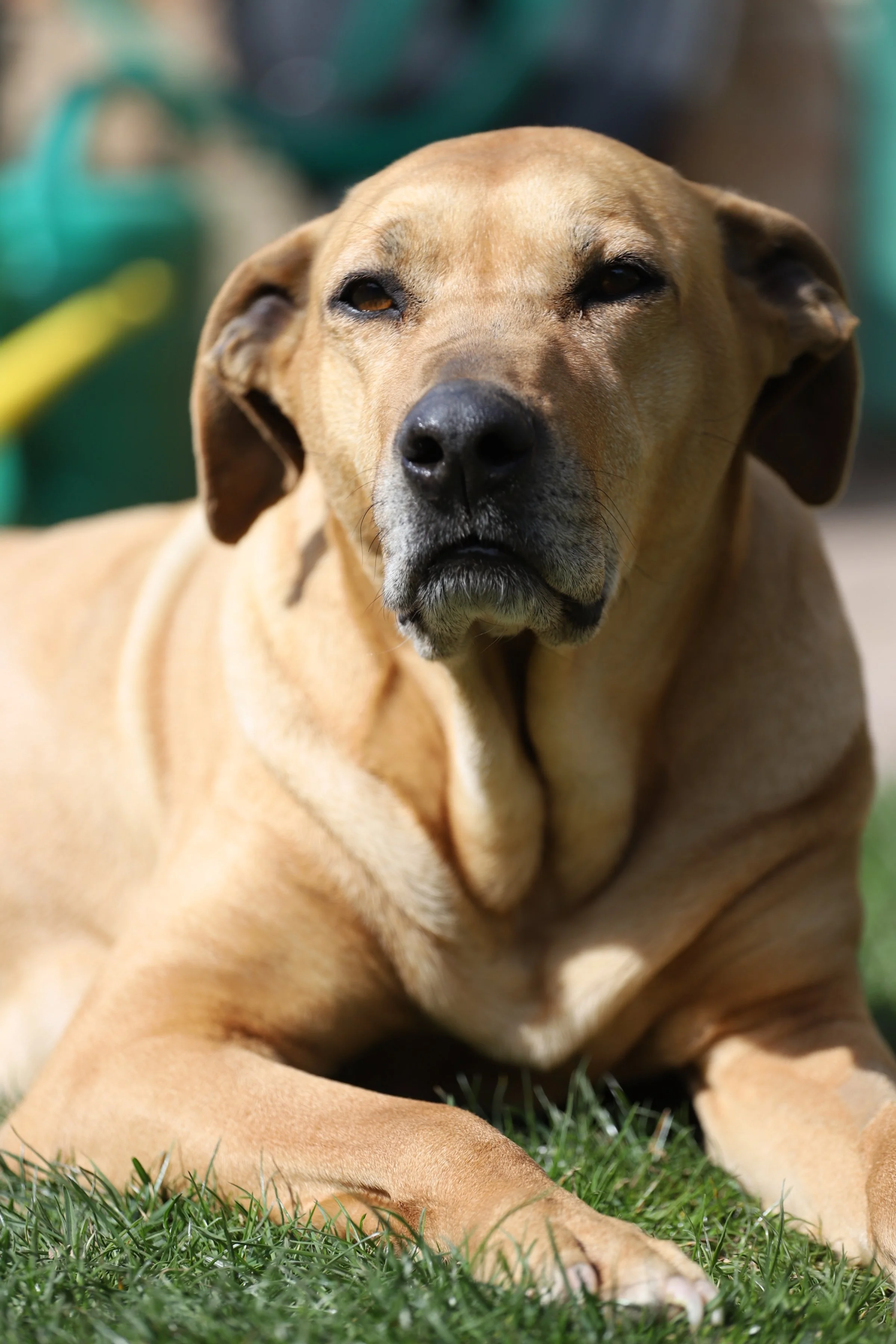 IMG_3964 - kopie.JPG