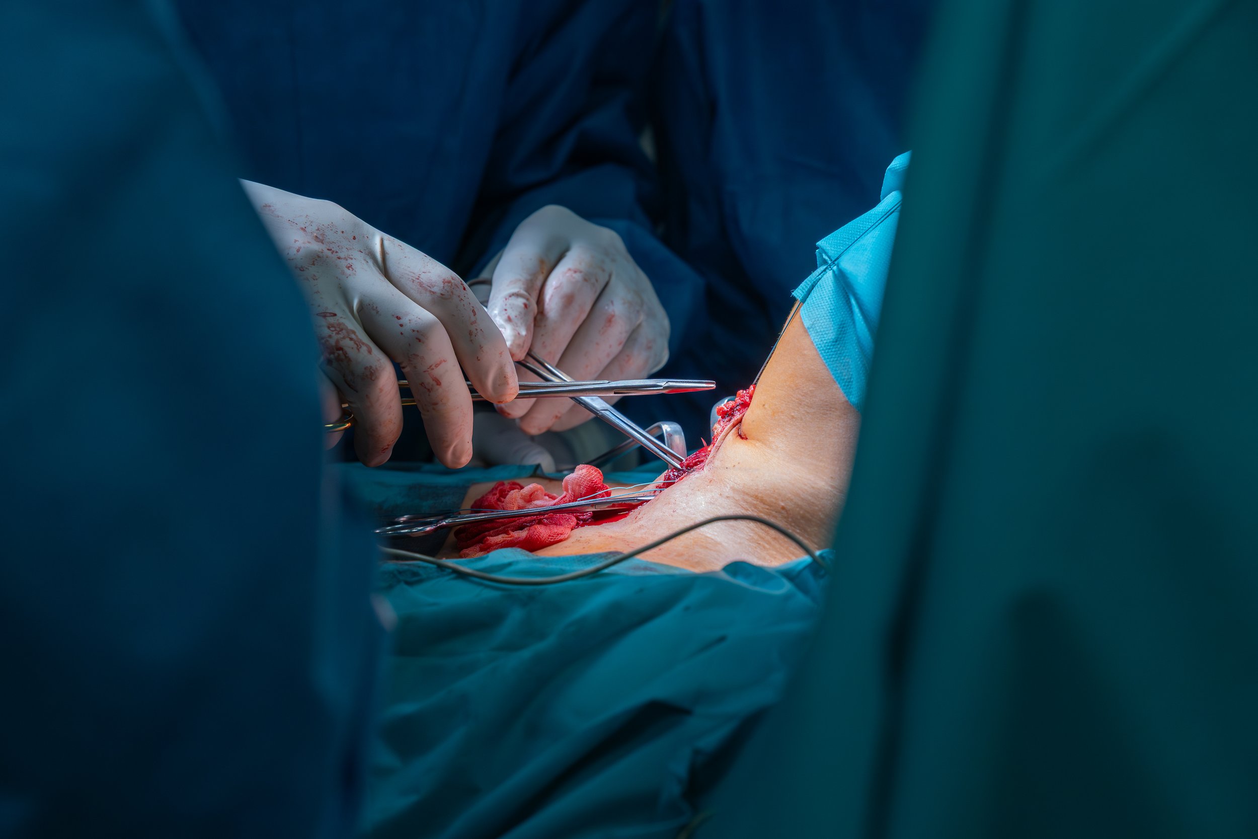 Kopie souboru 2G2A2077.jpg