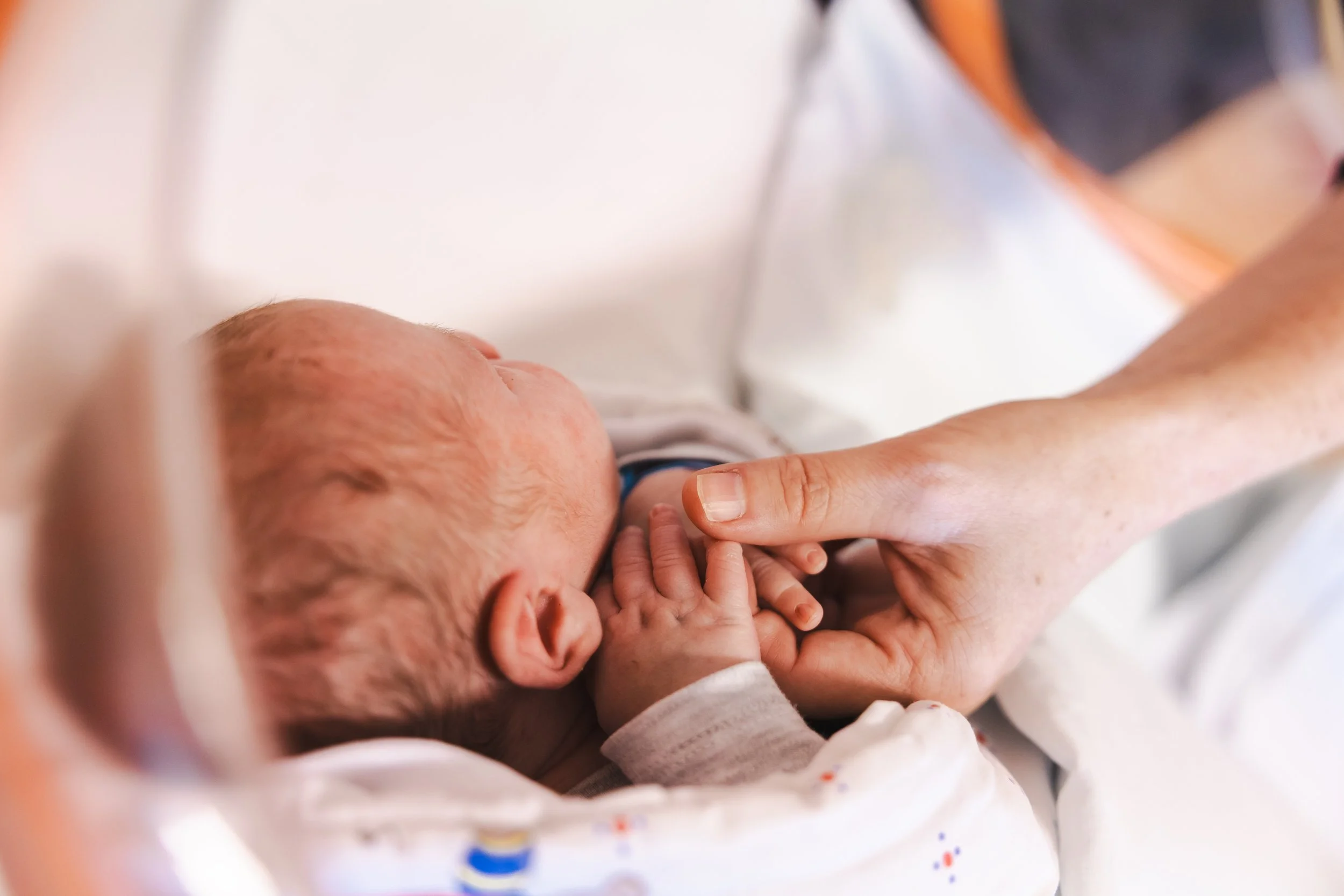 Kopie souboru 2G2A0729.jpg