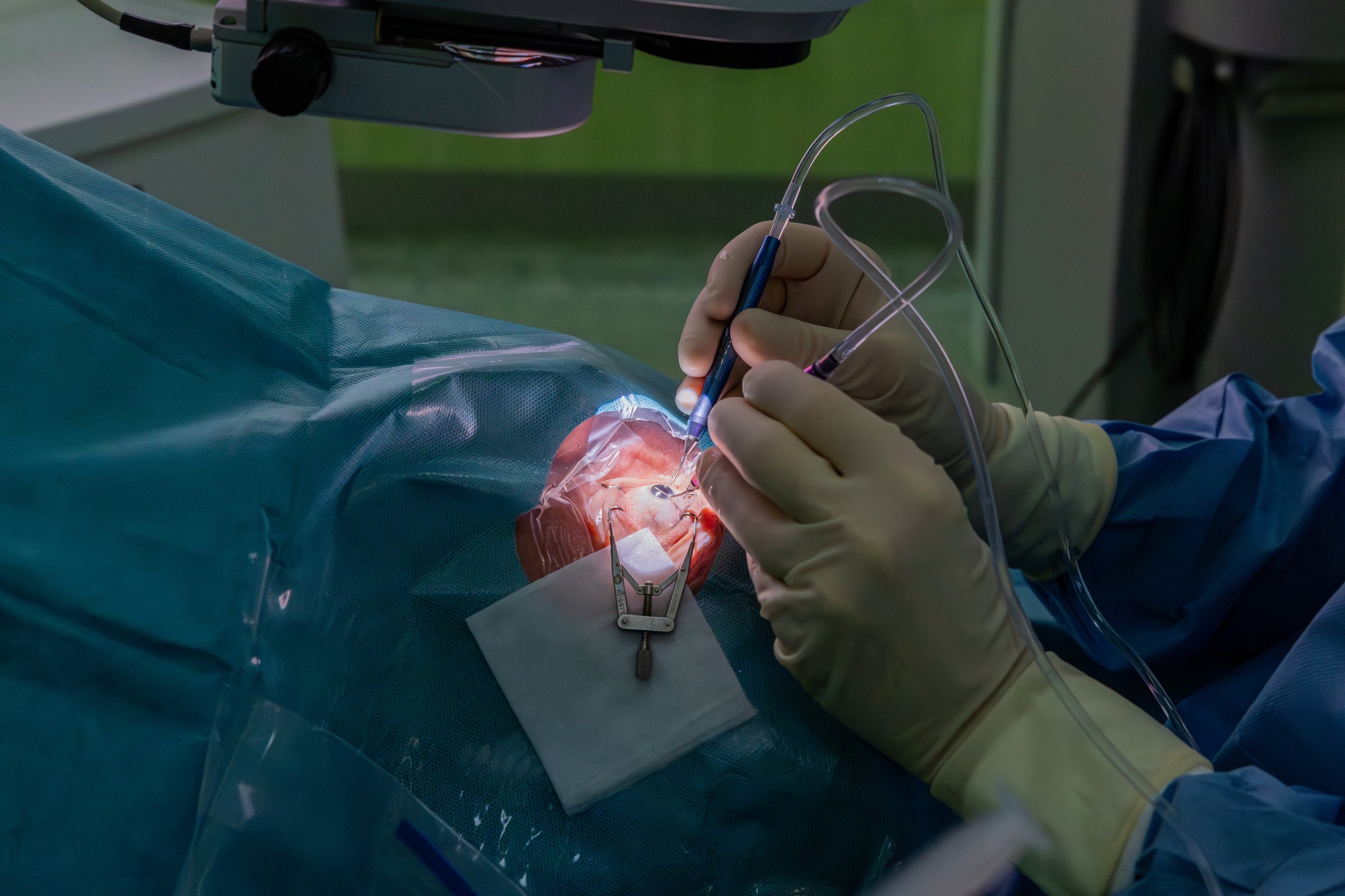 Kopie souboru IMG_6785.jpg