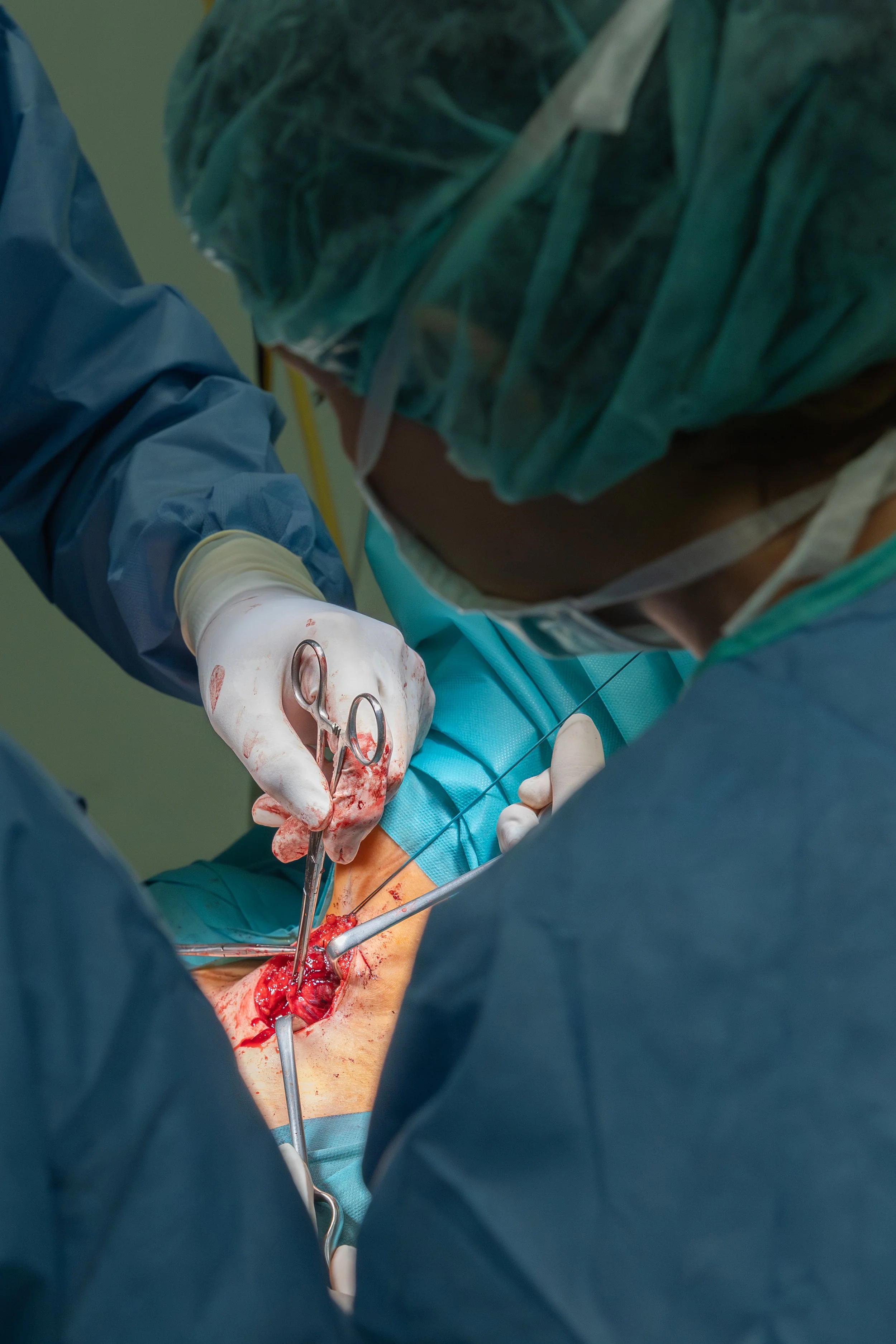 Kopie souboru 2G2A2253.jpg