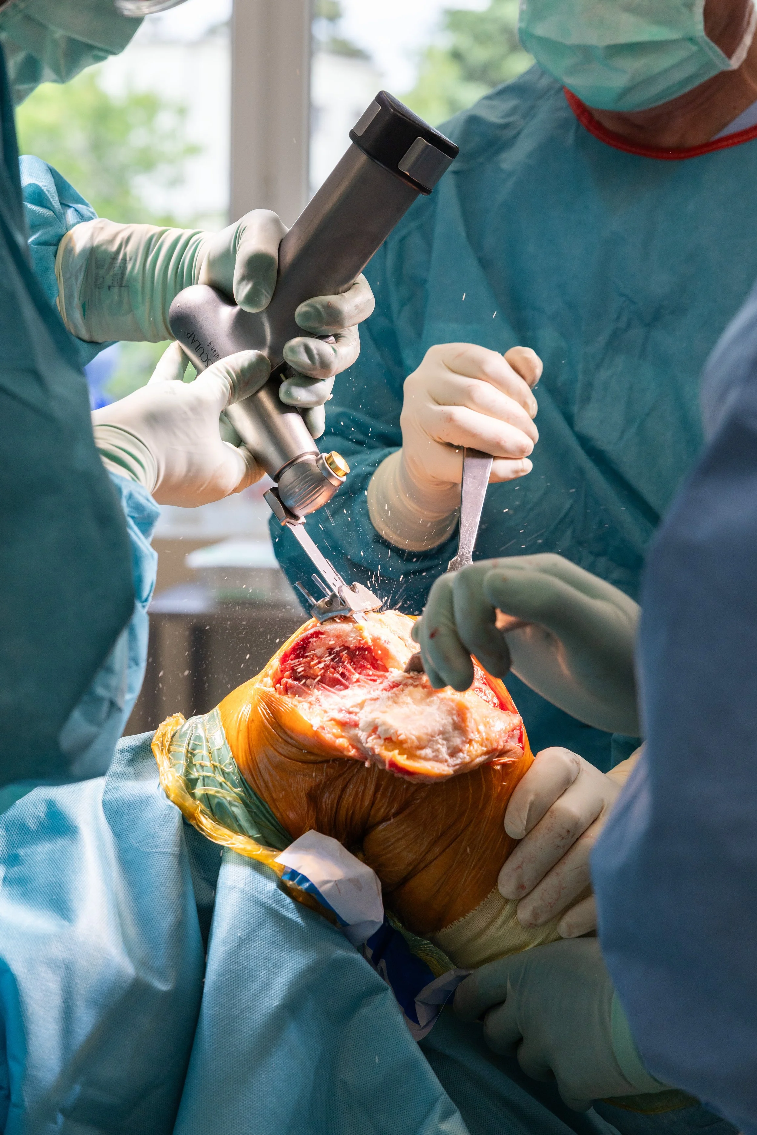 Kopie souboru 2G2A0491.jpg