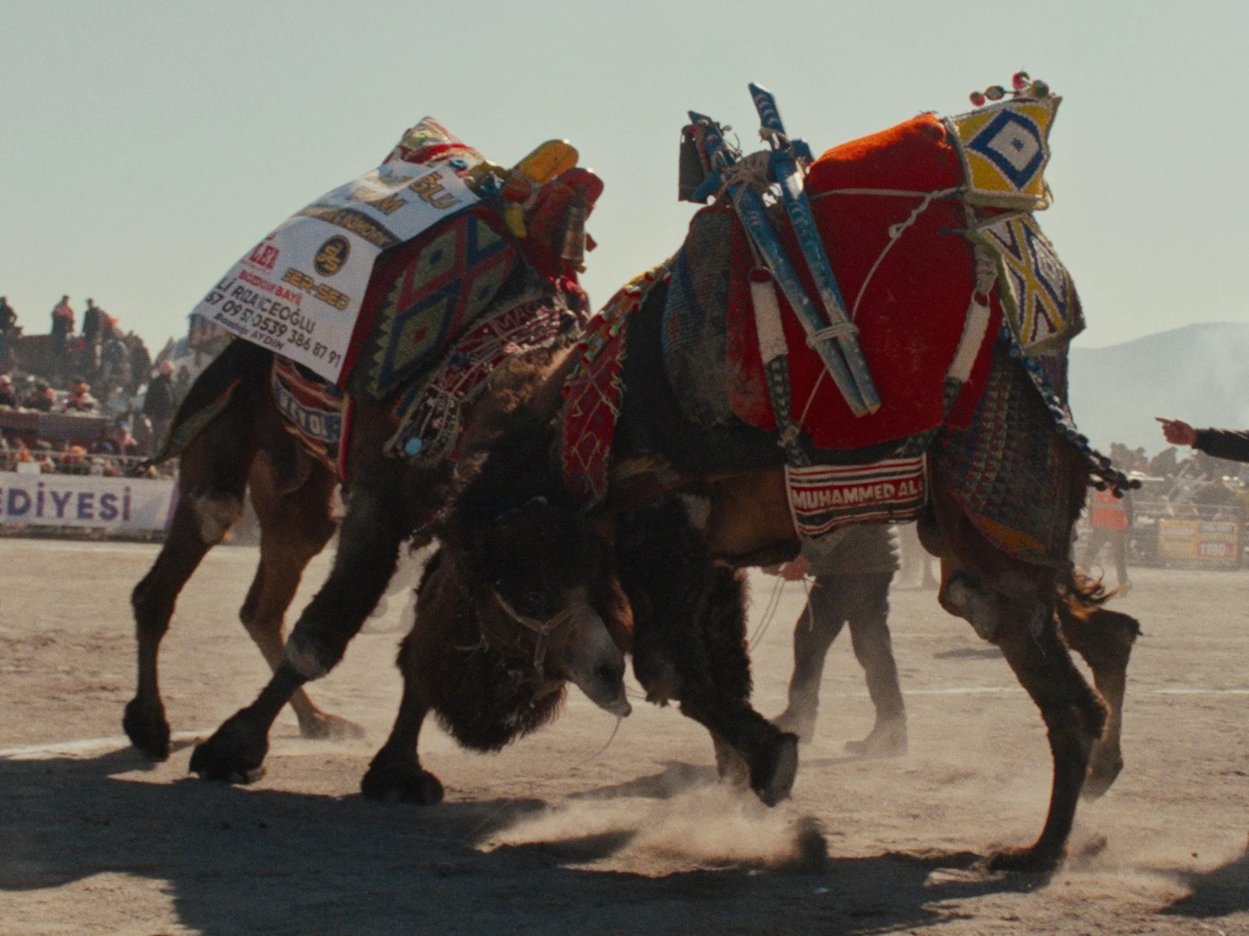 PICLOCK + COLO EN_01_07_10_03.jpg