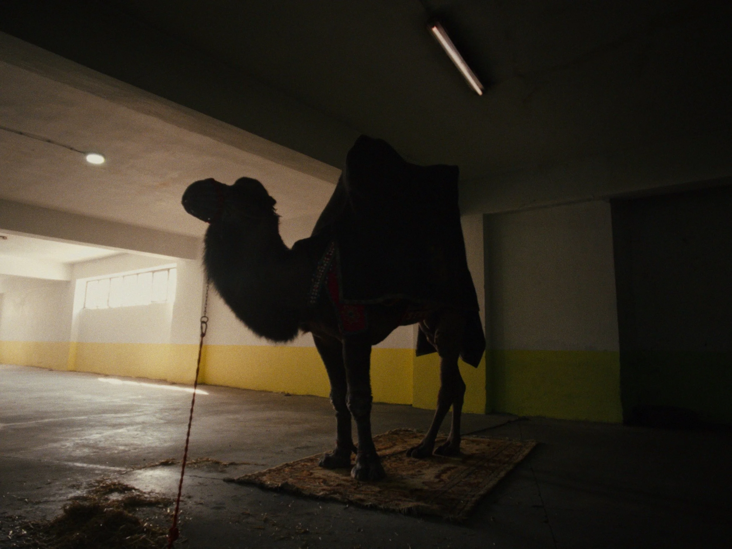 PICLOCK + COLO EN_01_00_31_10.jpg