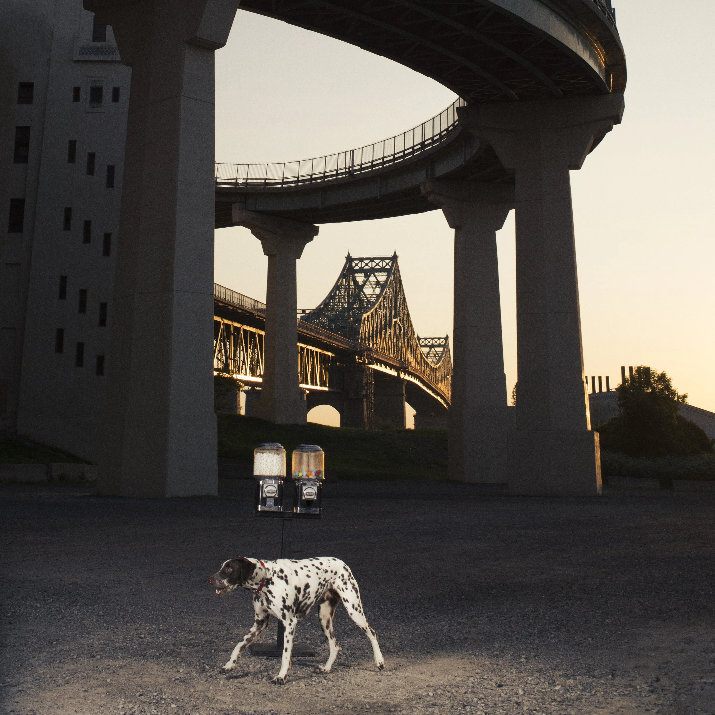 COLO+CORRECT2 ( FORMAT 1X1) V.1.jpg